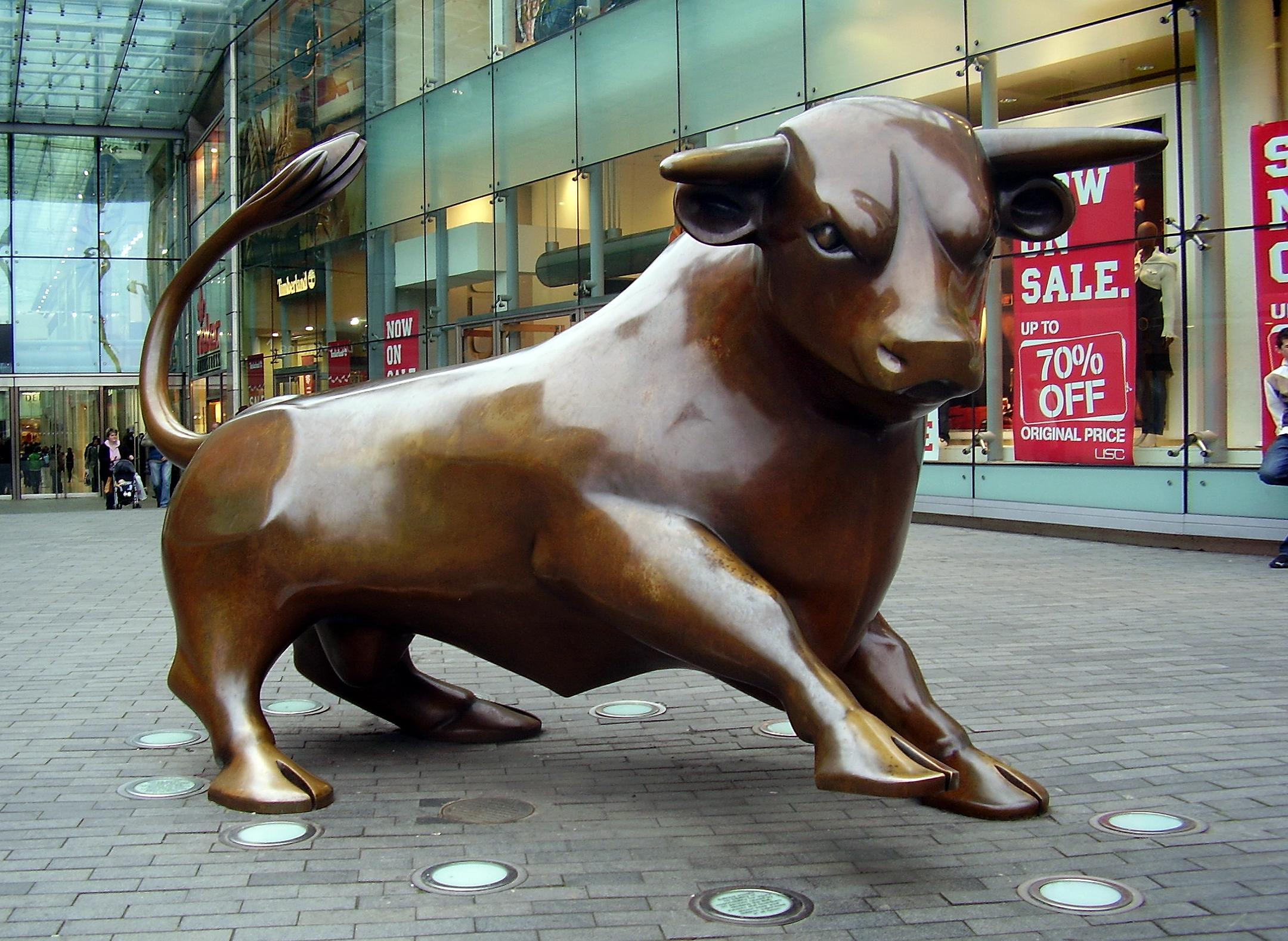 2160x1578 Charging Bull
