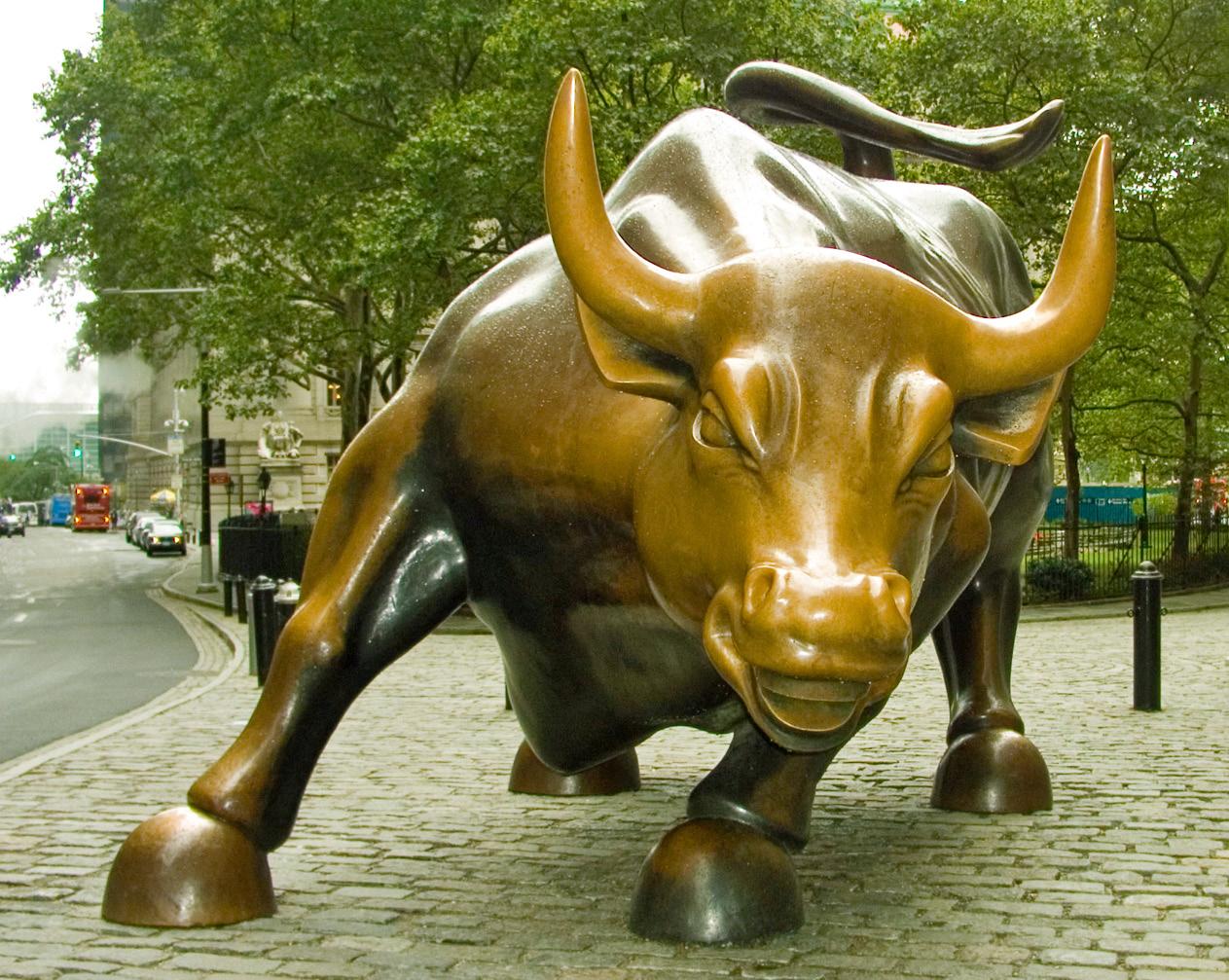 1263x1007 powerful bull