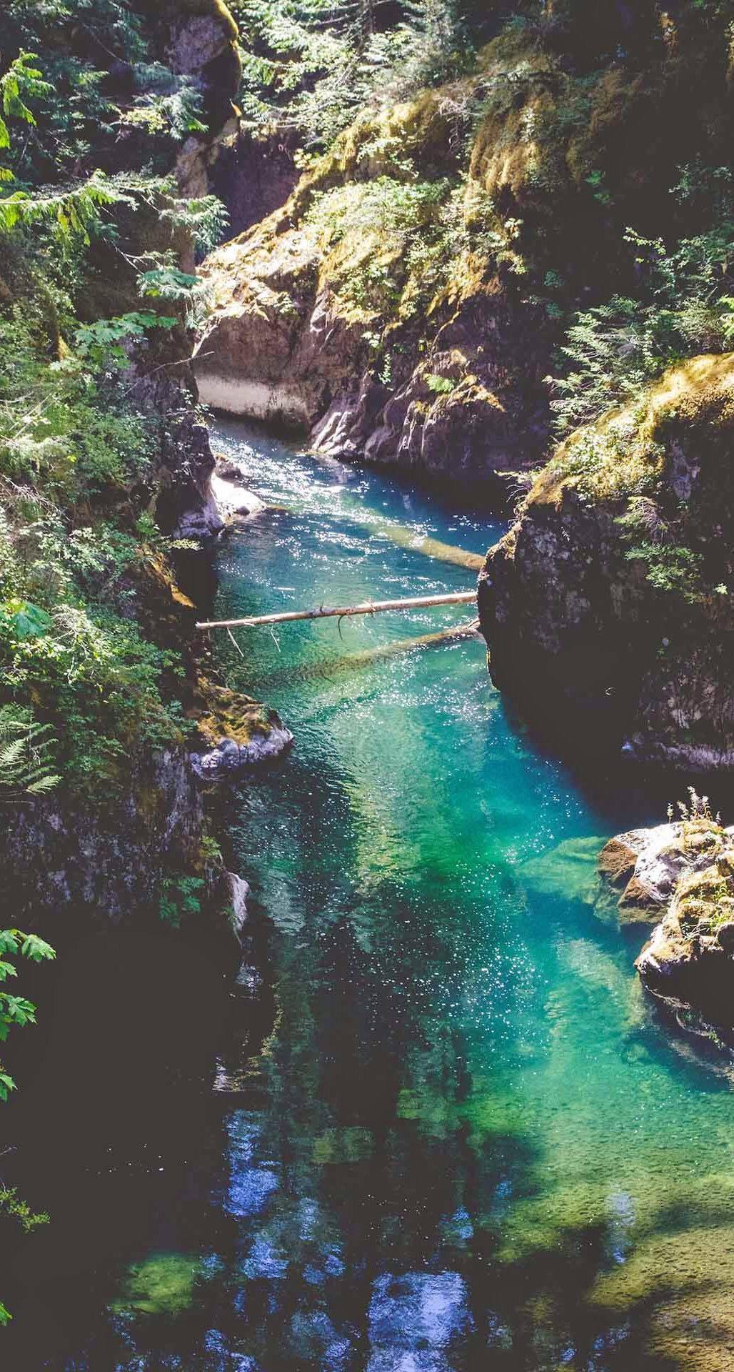 1028x1920 Download Nature View Scenic River iPhone Wallpaper