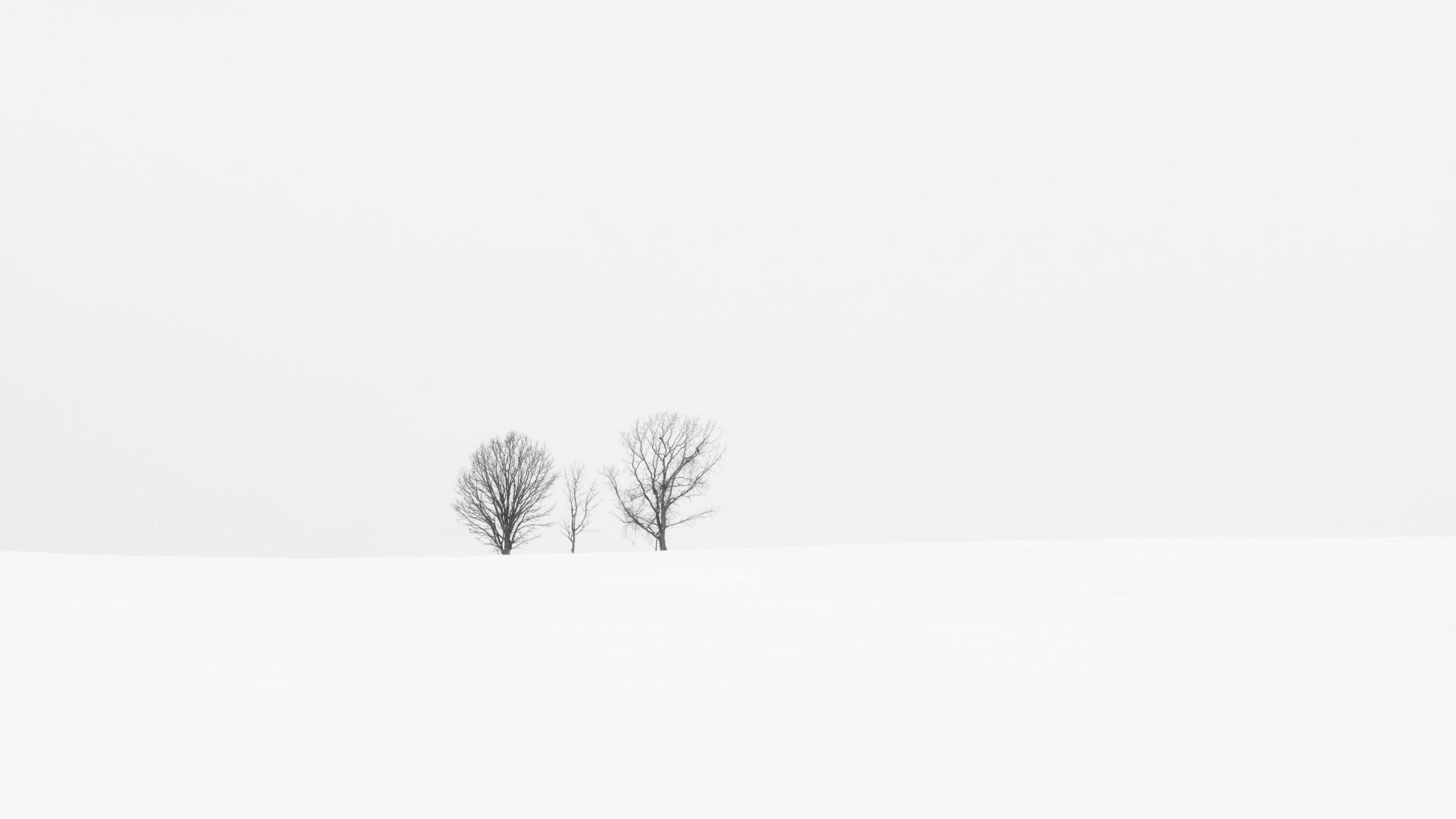 White Minimalist Computer Wallpapers Top Free White Minimalist