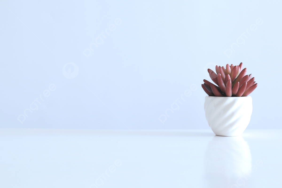 1200x800 Minimalist Desktop Background Map, Simple, Minimalism, Flowers Background Image for Free Download