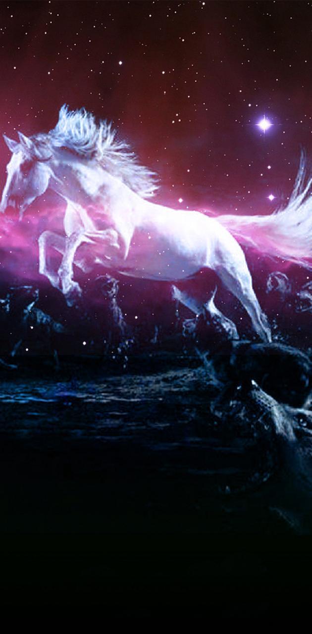 630x1280 Horse wallpaper