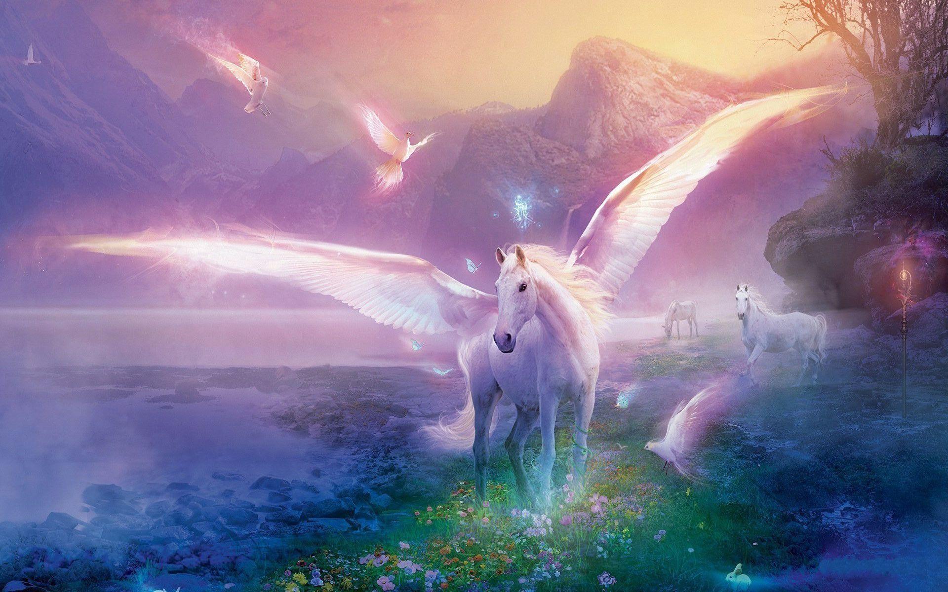 1920x1200 Cute Horse Wallpaper