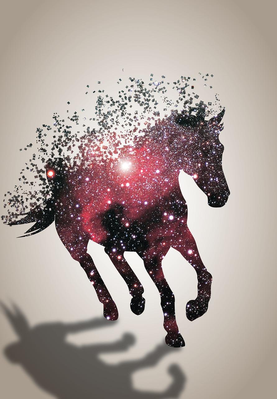 891x1280 Horse Universe Animal