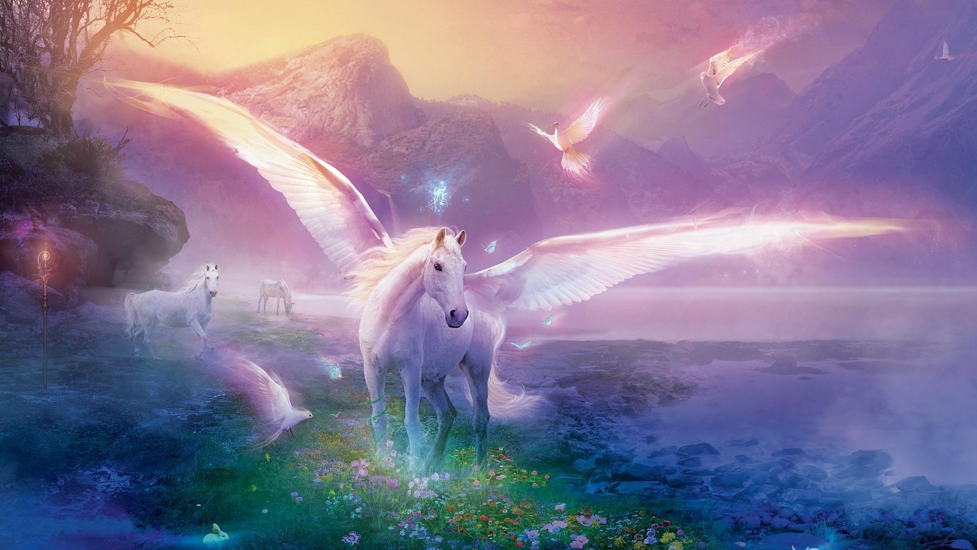 1920x1080 pegasus, horse, magic Wallpaper, HD Fantasy 4K Wallpaper, Image, Photo and Background
