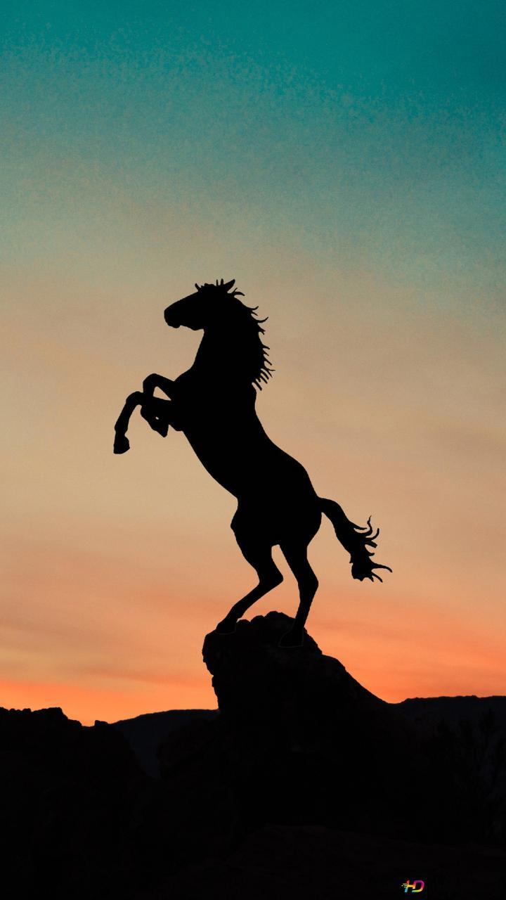 720x1280 Horse silhouette and sunset red view prancing on cliffs 2K wallpaper download
