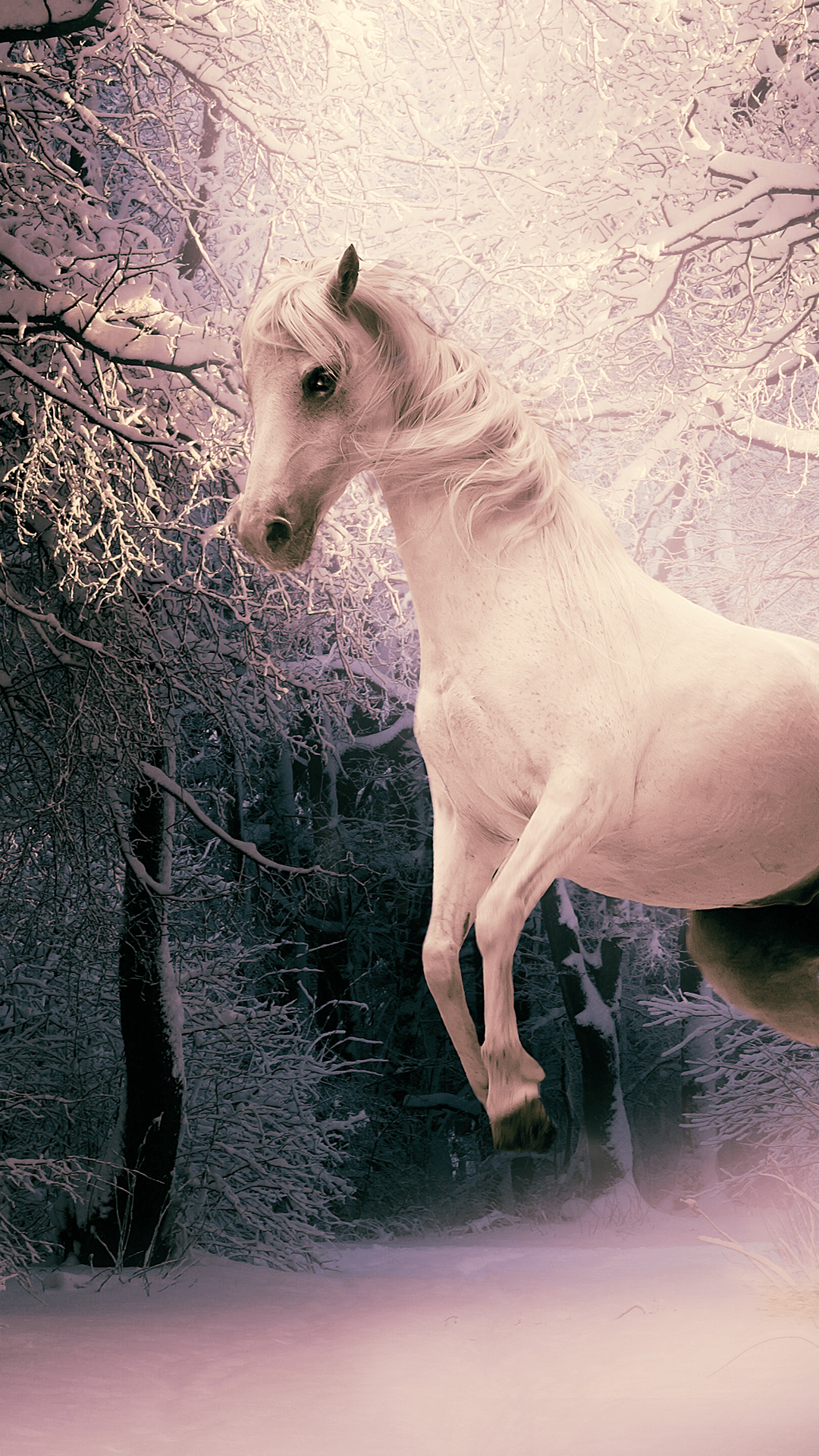 Galaxy Horse Wallpapers Top Free Galaxy