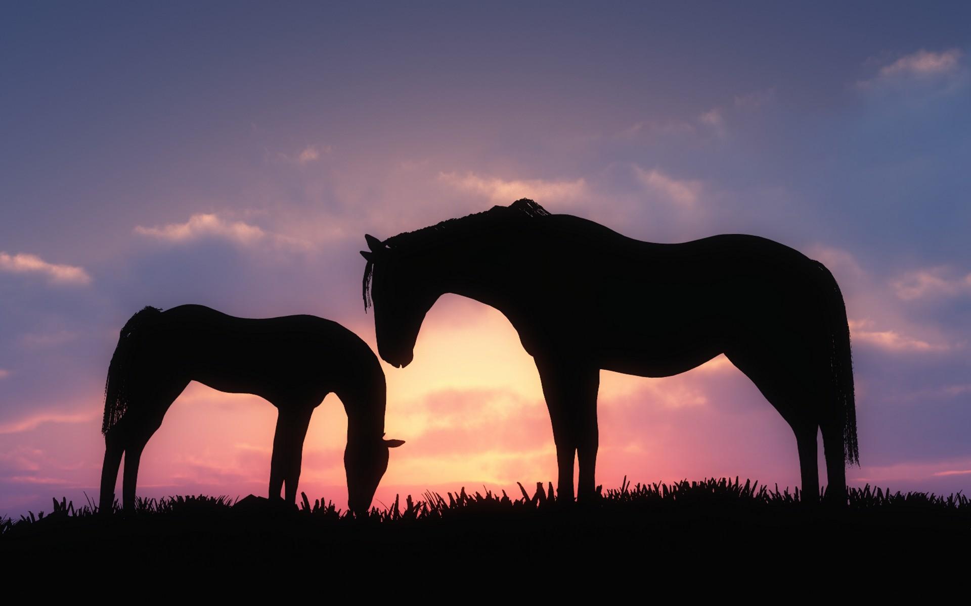 1920x1200 Horses In A Galaxy