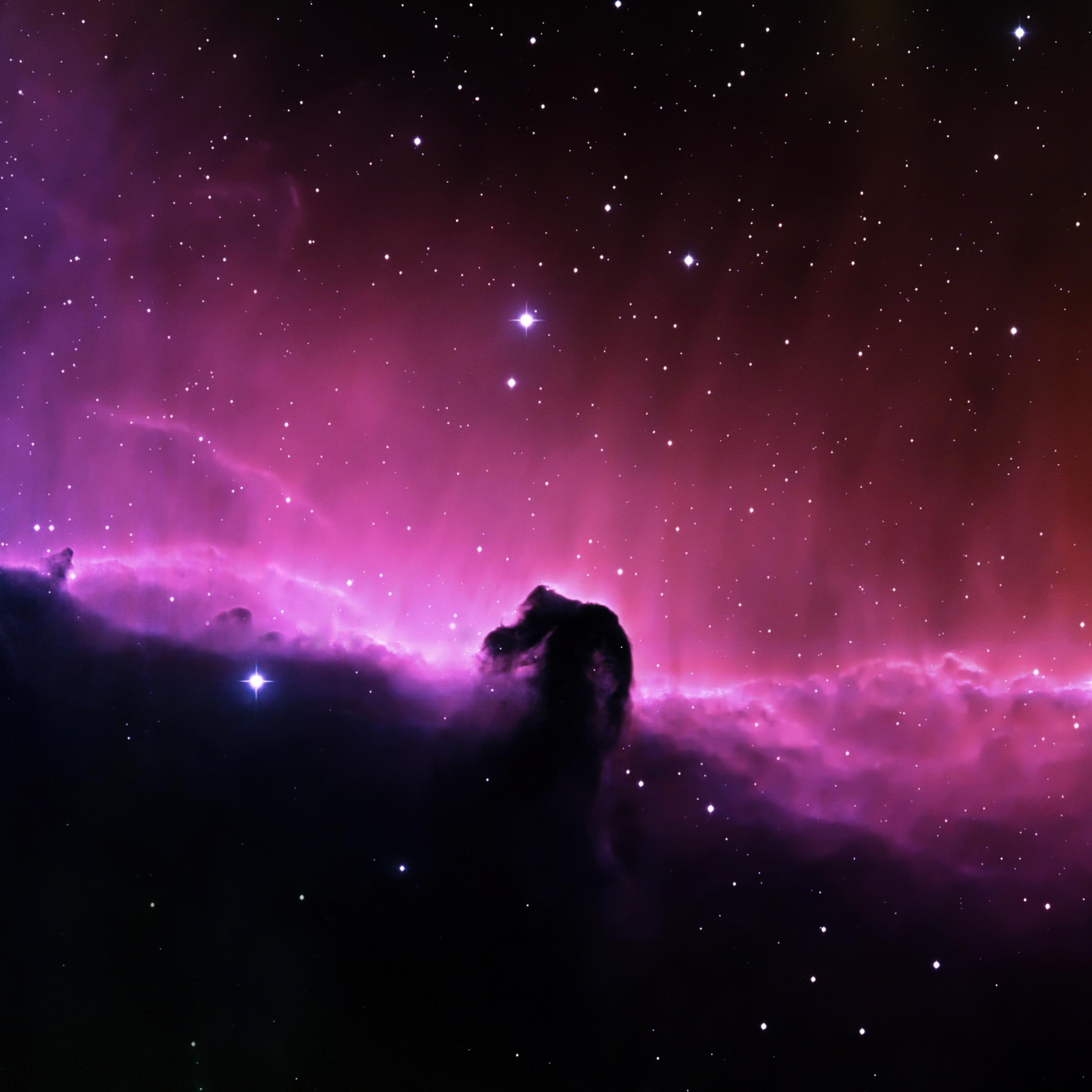 2732x2732 Horsehead Nebula Wallpaper 4K, Constellation, Space