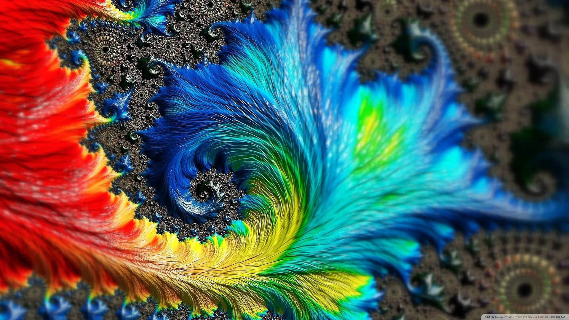 1920x1080 Download Colorful Feather Fractal Wallpaper