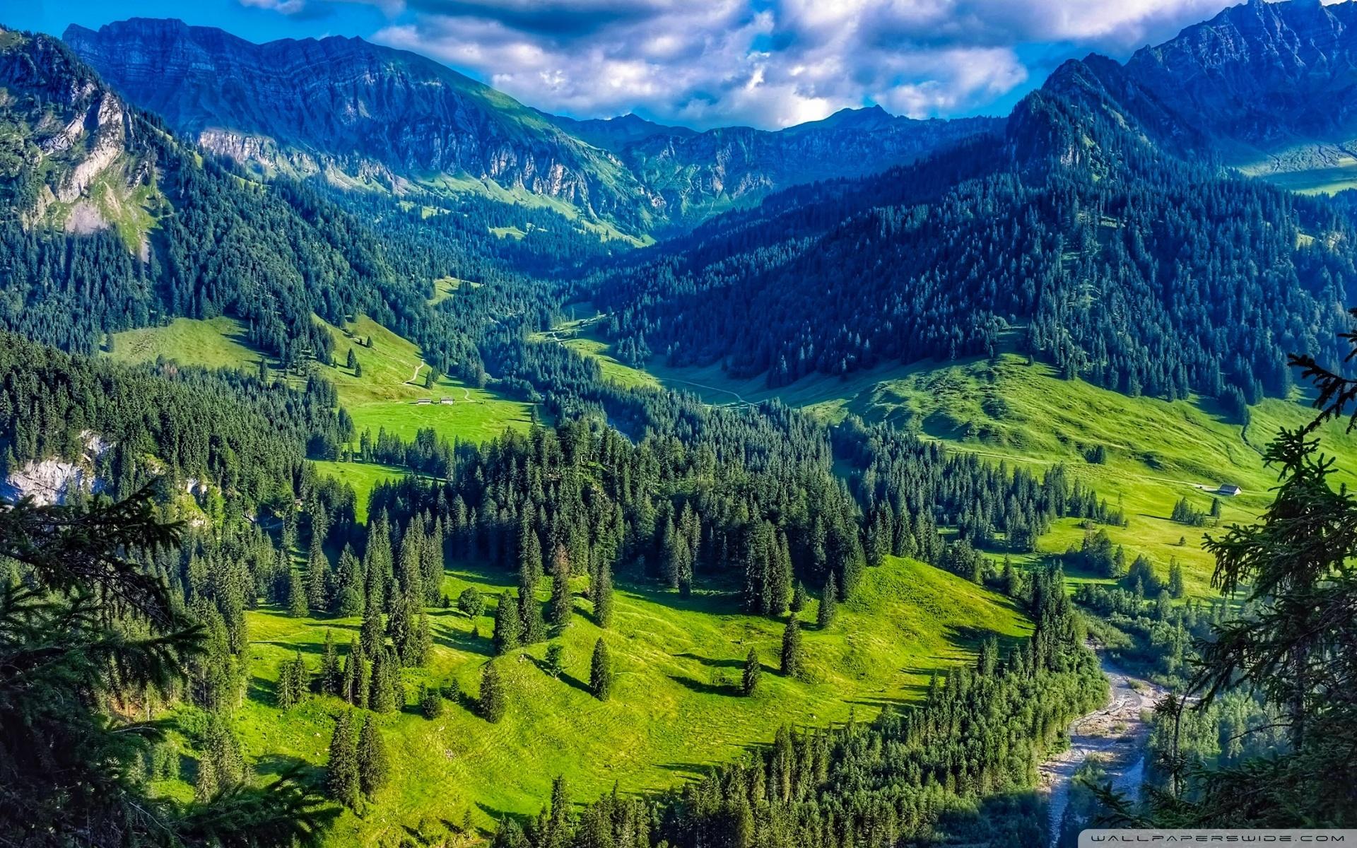 1920x1200 Austria Mountain Forest Landscape Ultra HD Desktop Background Wallpaper for 4K UHD TV : Widescreen & UltraWide Desktop & Laptop : Tablet