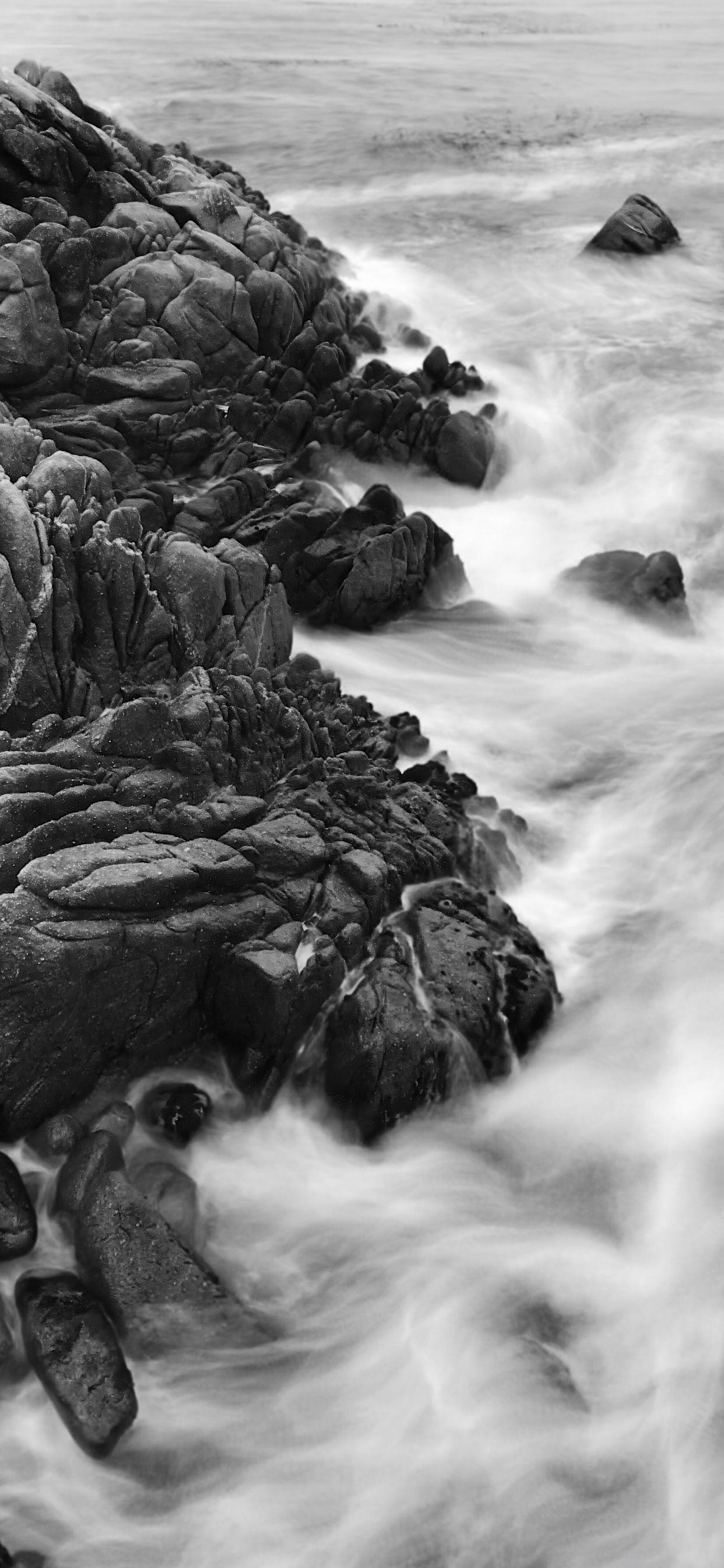 40 Gambar Black and White Nature Iphone Wallpaper Hd terbaru 2020