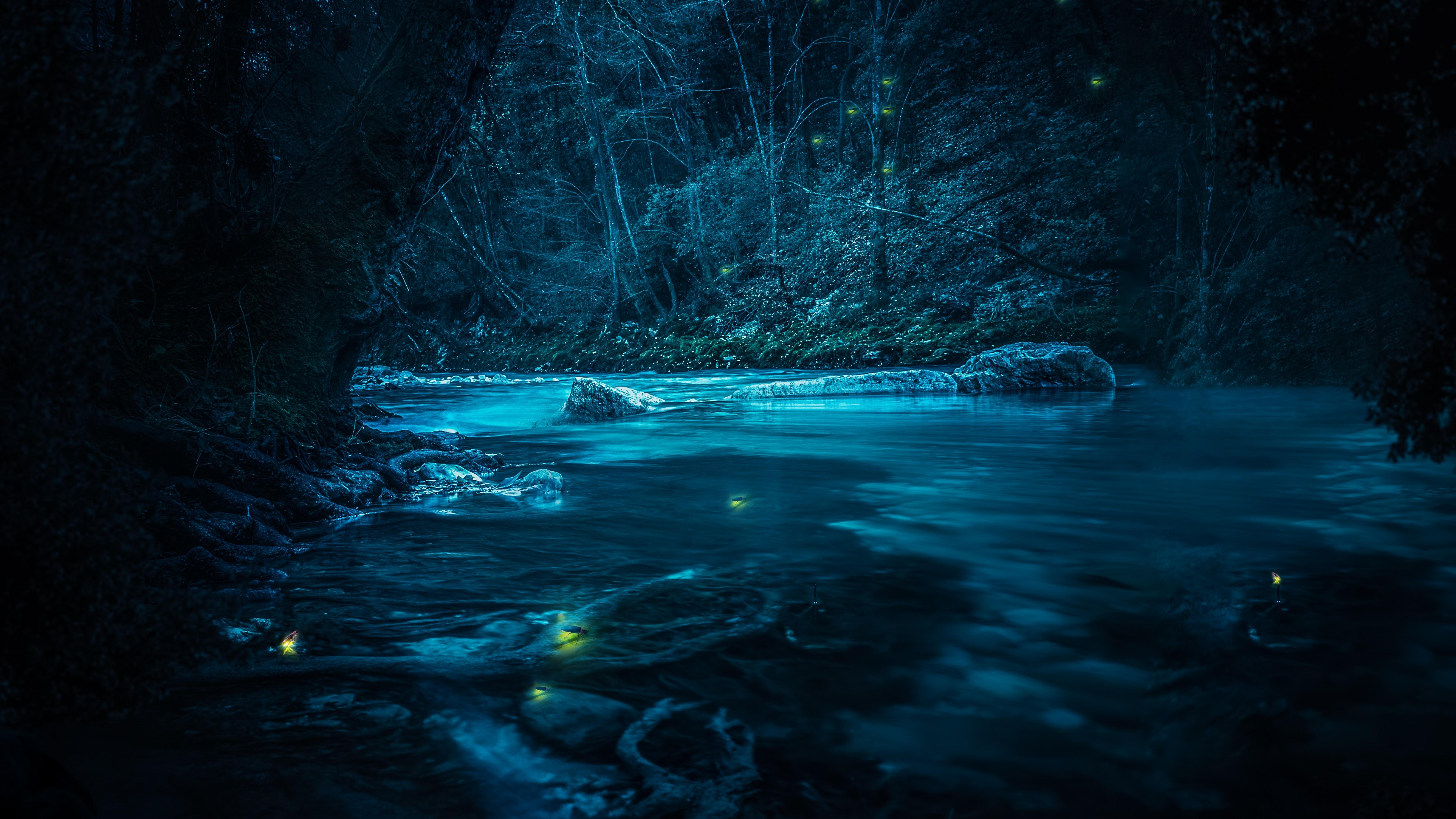 7680x4320 Forest Wallpaper 4K, River, Night, Dark, Nature