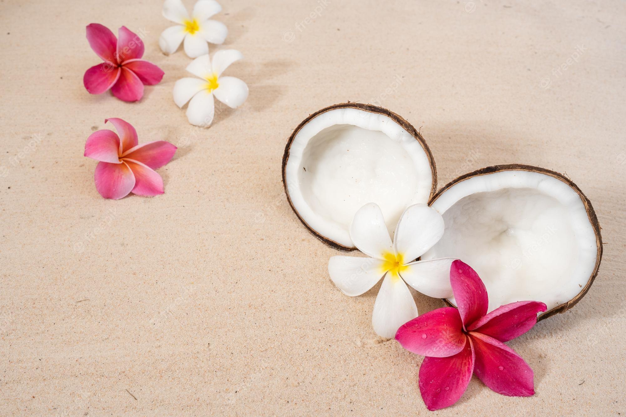 2000x1333 Premium Photo. Coconut fruit and frangipani flowers on sand beach background