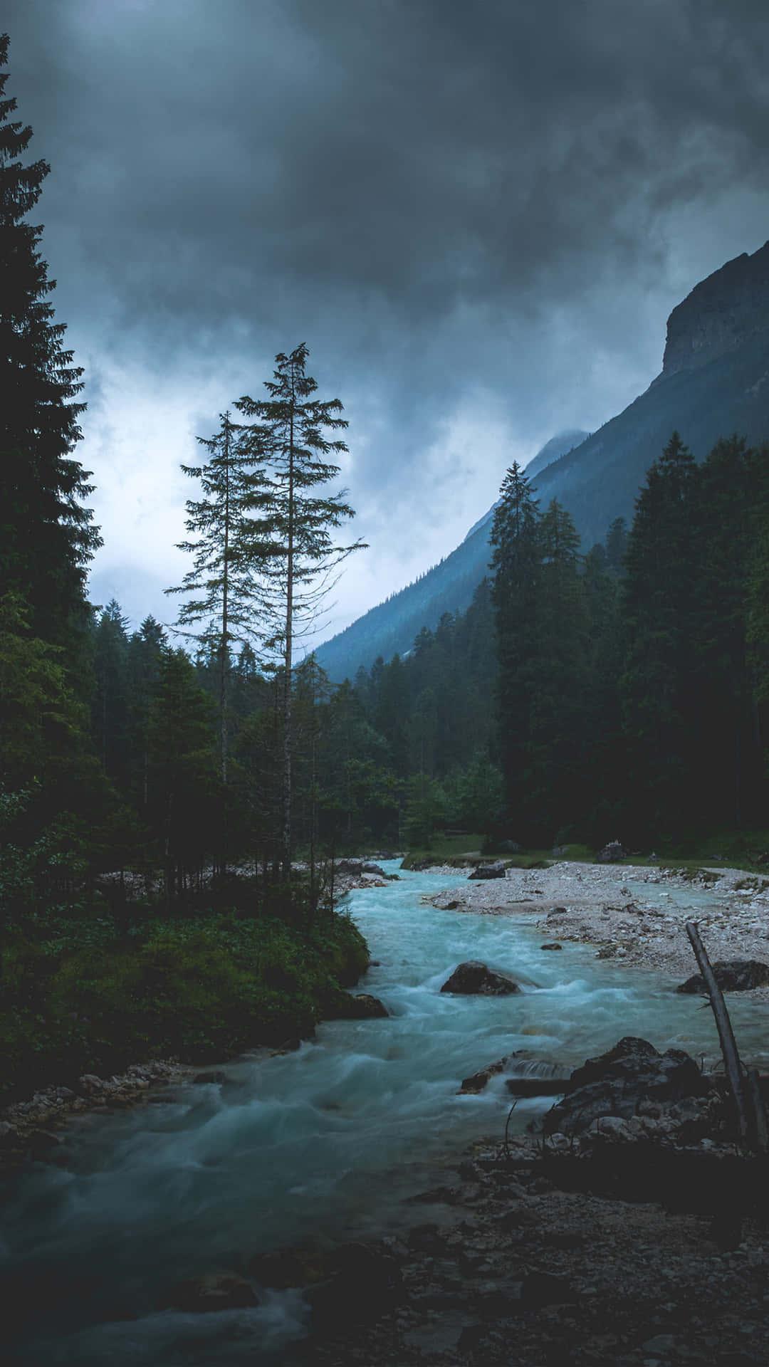 1080x1920 Download Dark Nature Wallpaper