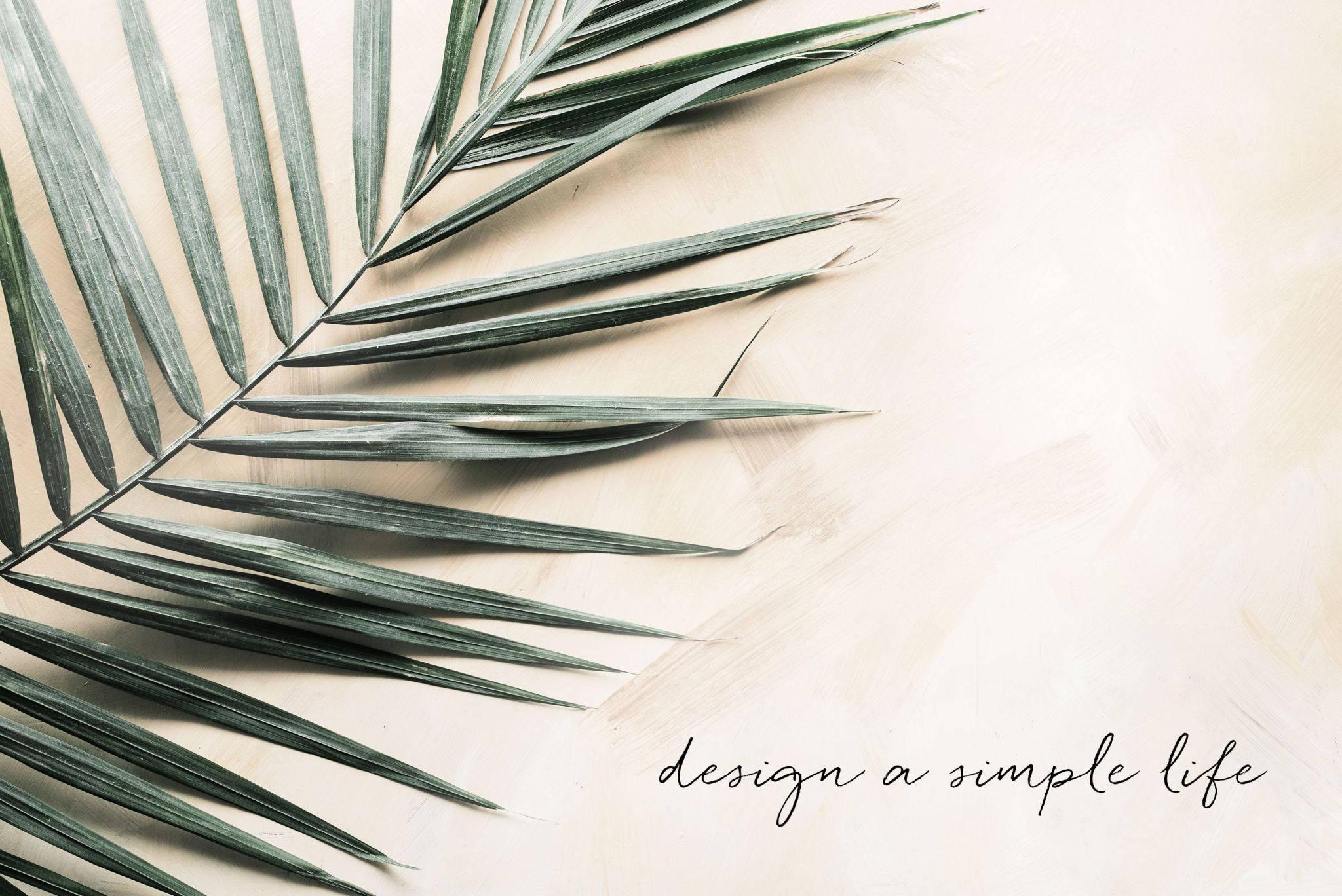 2048x1368 Download Summer Aesthetic Palm Leaves With Quote Wallpaper