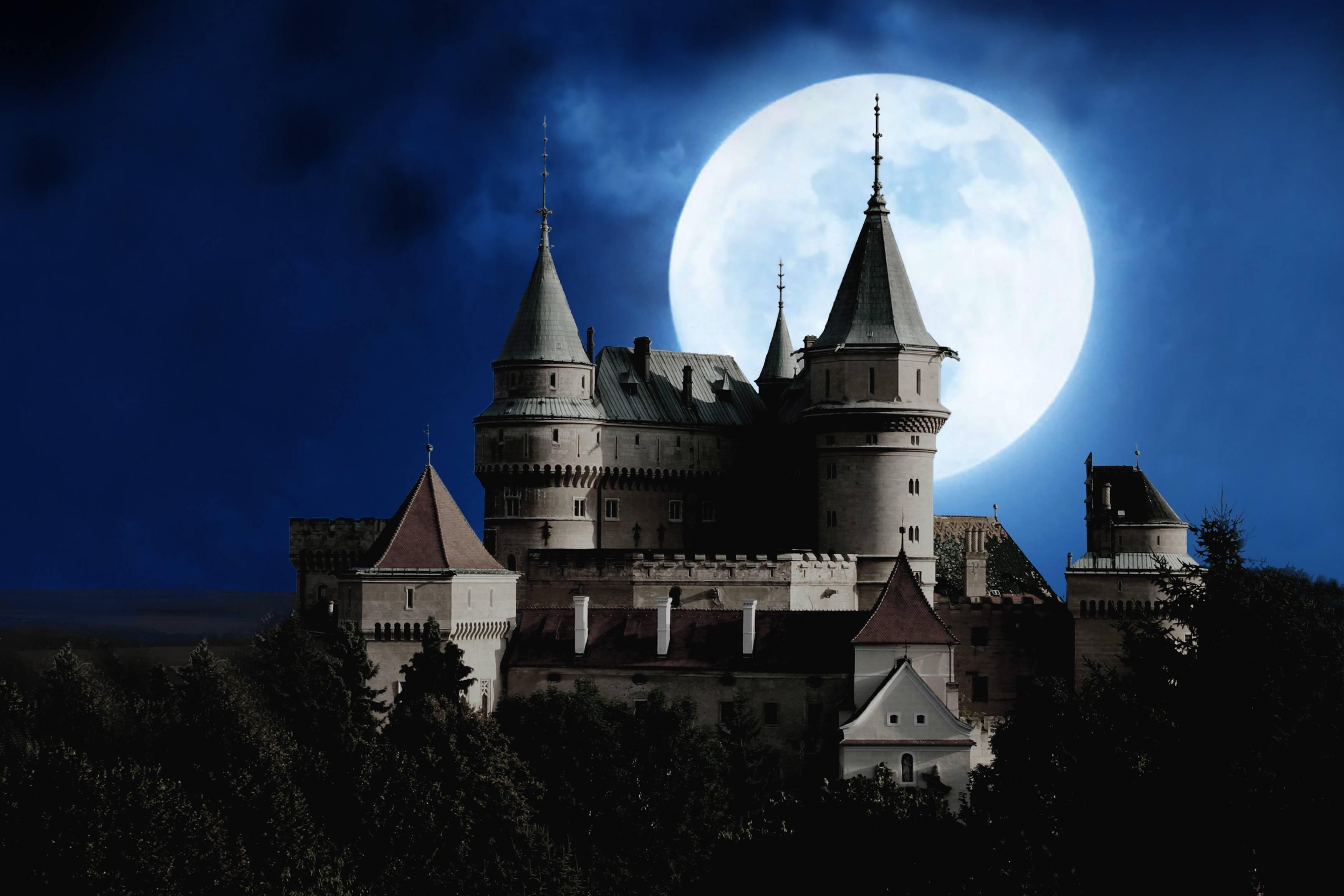 3500x2333 castle, mood, full, moon, night, mystical, moon Gallery HD Wallpaper