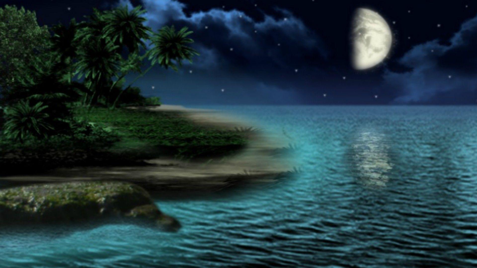Hình nền Bãi biển Ban đêm – Top Những Hình Ảnh Đẹp