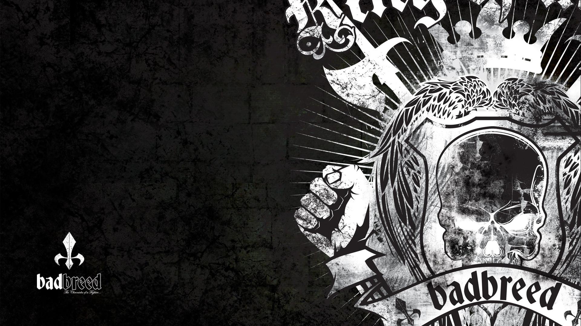 1920x1080 Bad Boy Mma Wallpaper
