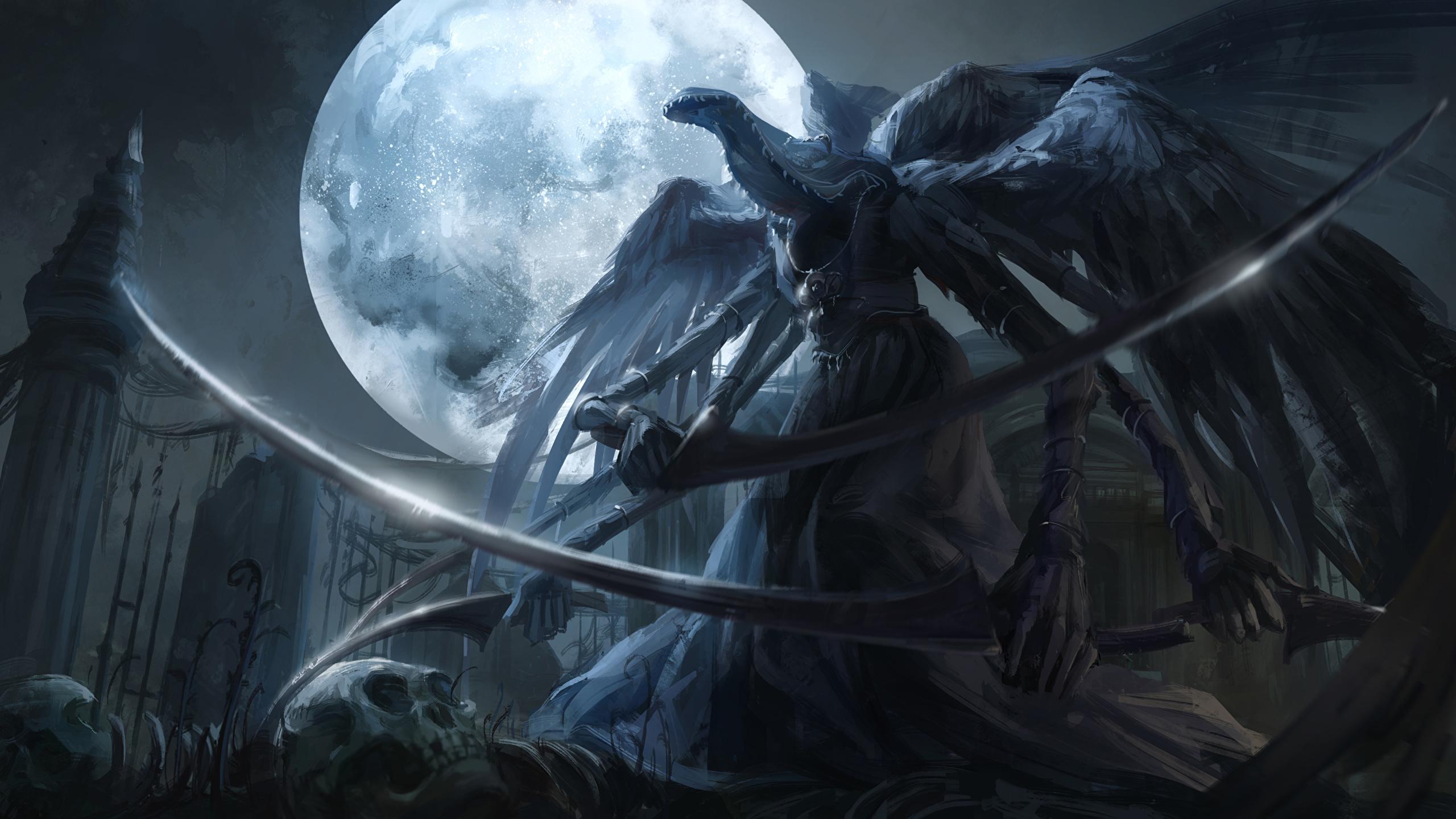 2560x1440 Photo Sabre Gothic Fantasy Monsters Wings bloodborne 2560x1440
