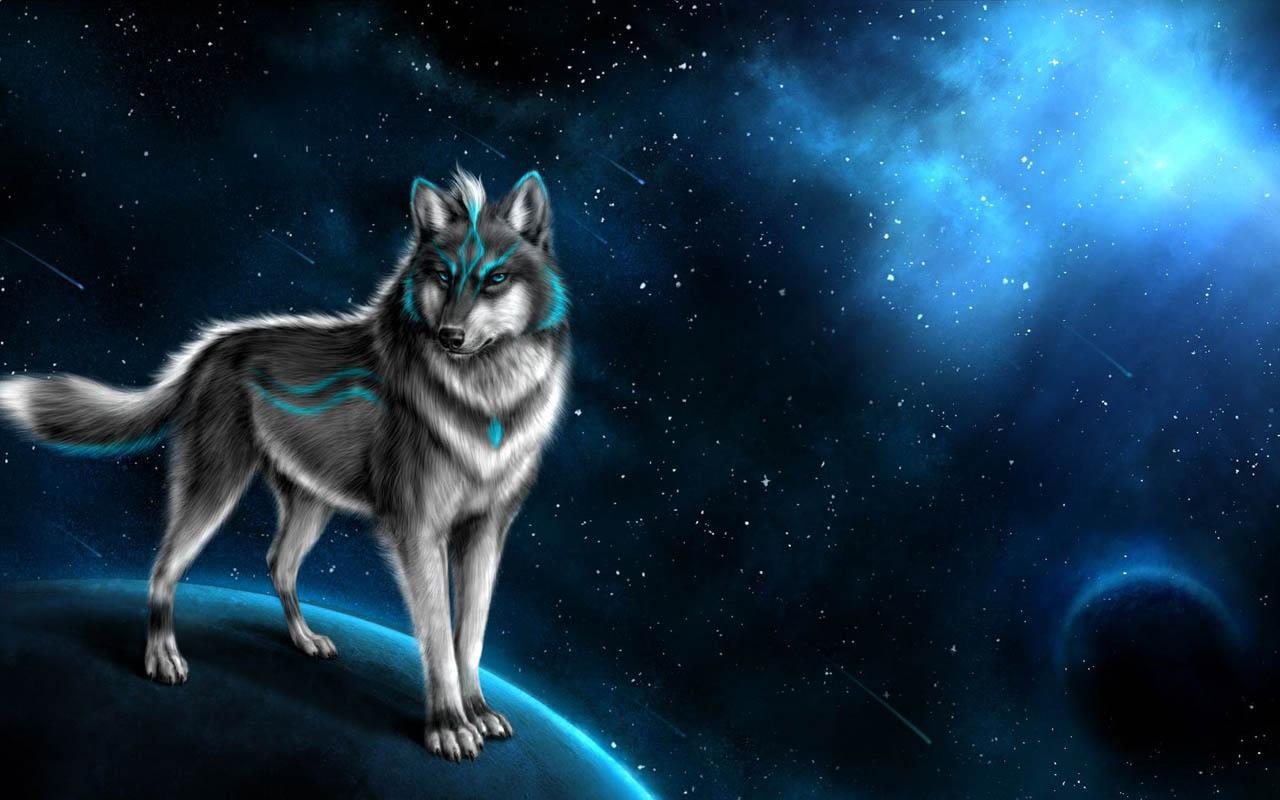 1280x800 Wolf Wallpaper APK 1.0 for Android
