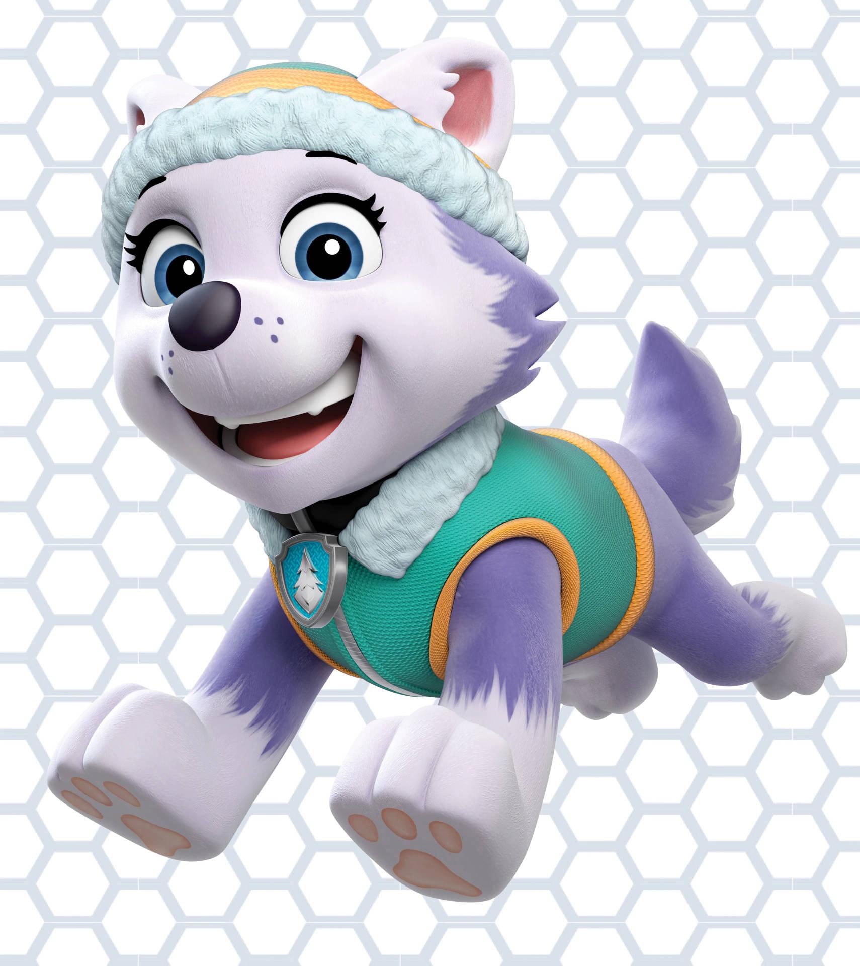 Everest PAW Patrol Wallpapers - Top Free Everest PAW Patrol Backgrounds - WallpaperAccess