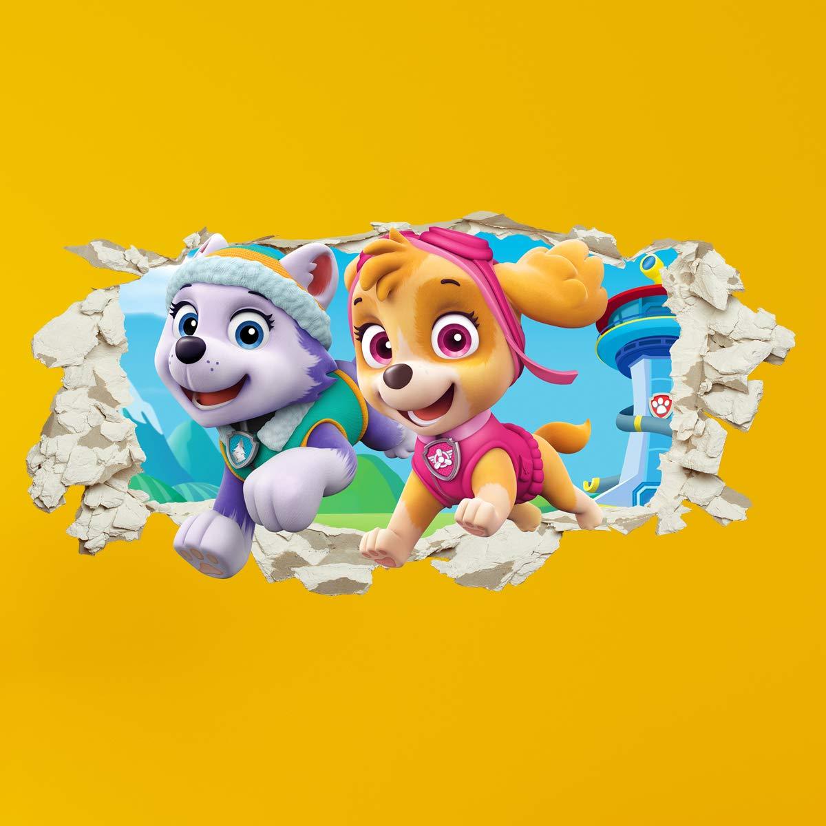 1200x1200 Free download greatdealsandgifts Paw patrol Skye Everest Smashed Wall Crack Kids [1200x1200] for your Desktop, Mobile & Tablet. Explore Paw Patrol Everest Wallpaper. Paw Print Wallpaper, Mount Everest Wallpaper, Everest Wallpaper