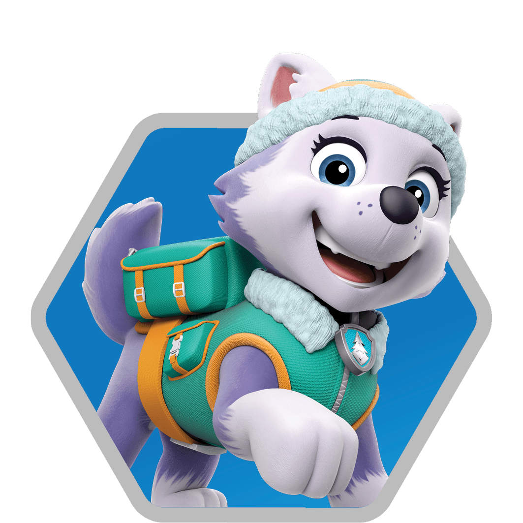 Everest PAW Patrol Wallpapers - Top Free Everest PAW Patrol Backgrounds ...