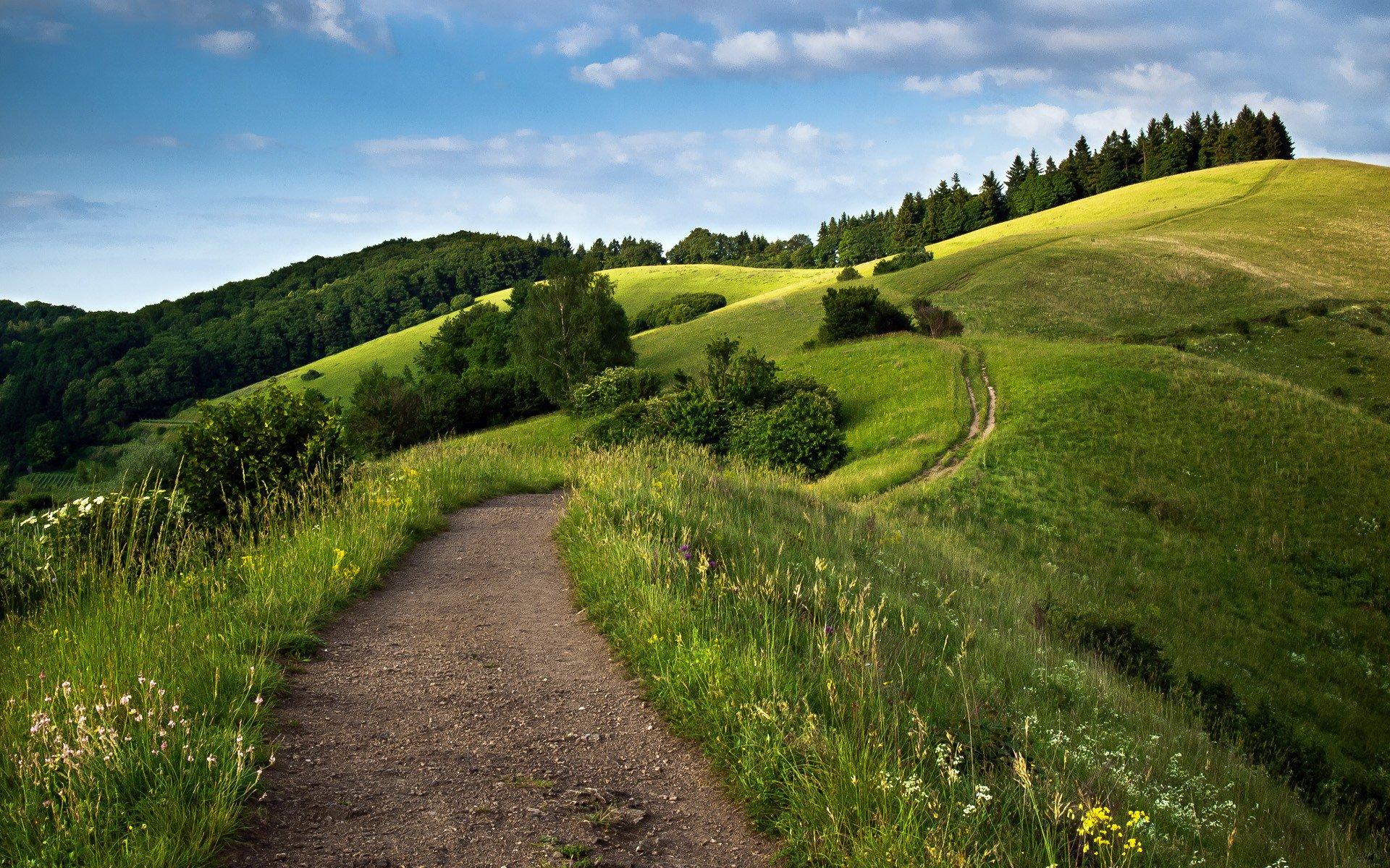 1920x1200 HD Wallpaper Nature Awesome Road Ultra HD 16K Wallpaper #Japan #Nature #Awesome #Road #Ultra #HD K # Wallpaper #Tree #Grass #Japan #Natural #Wallpaper #NatureWallpaper #AwesomeWallpaper KWallpaper