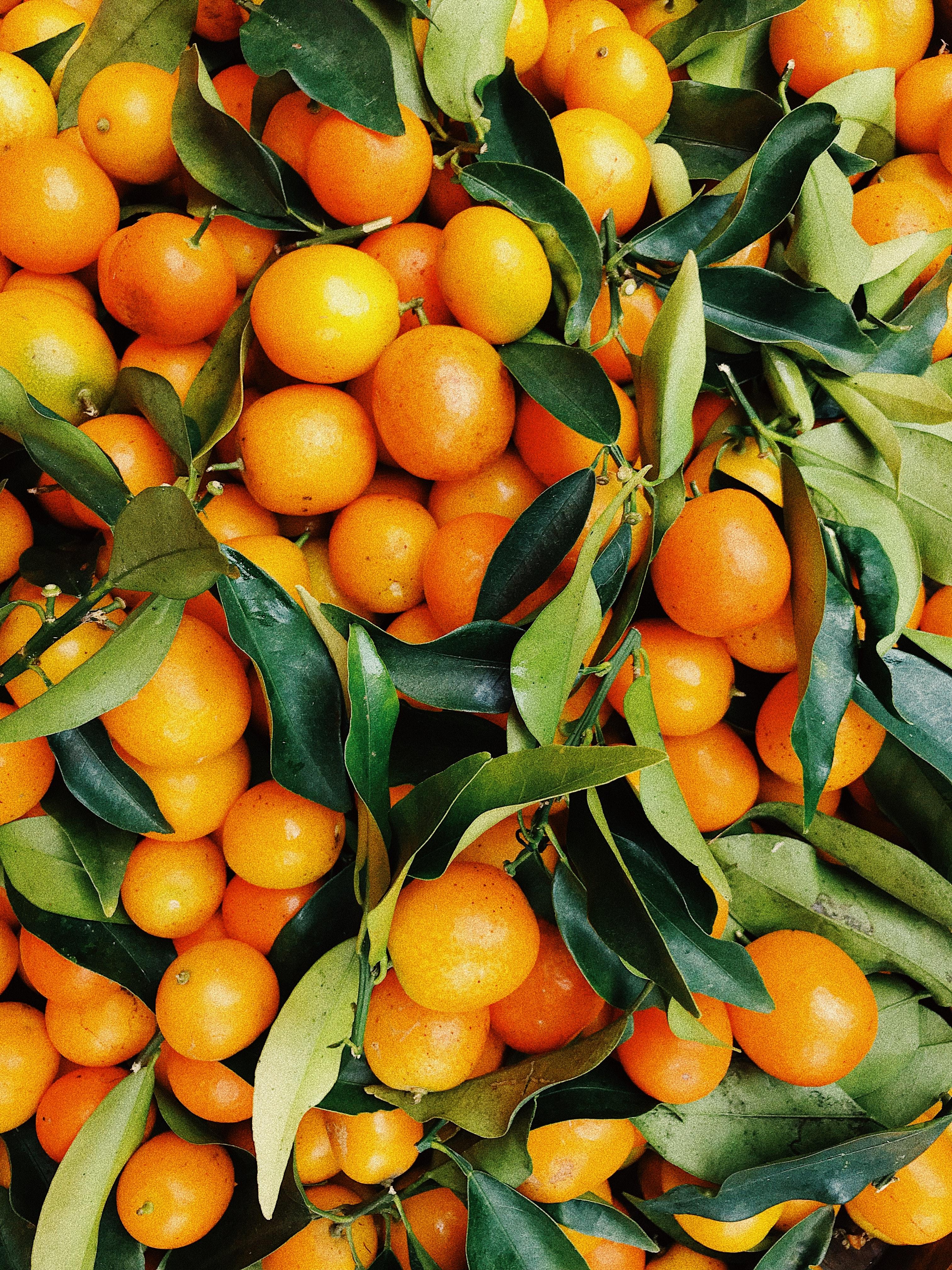 3024x4032 Citrus Fruit Photo, Download Free Citrus Fruit & HD Image