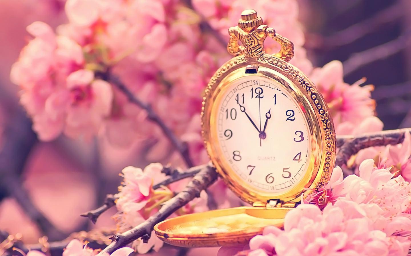 1440x900 Cherry Blossom Tree Wallpaper