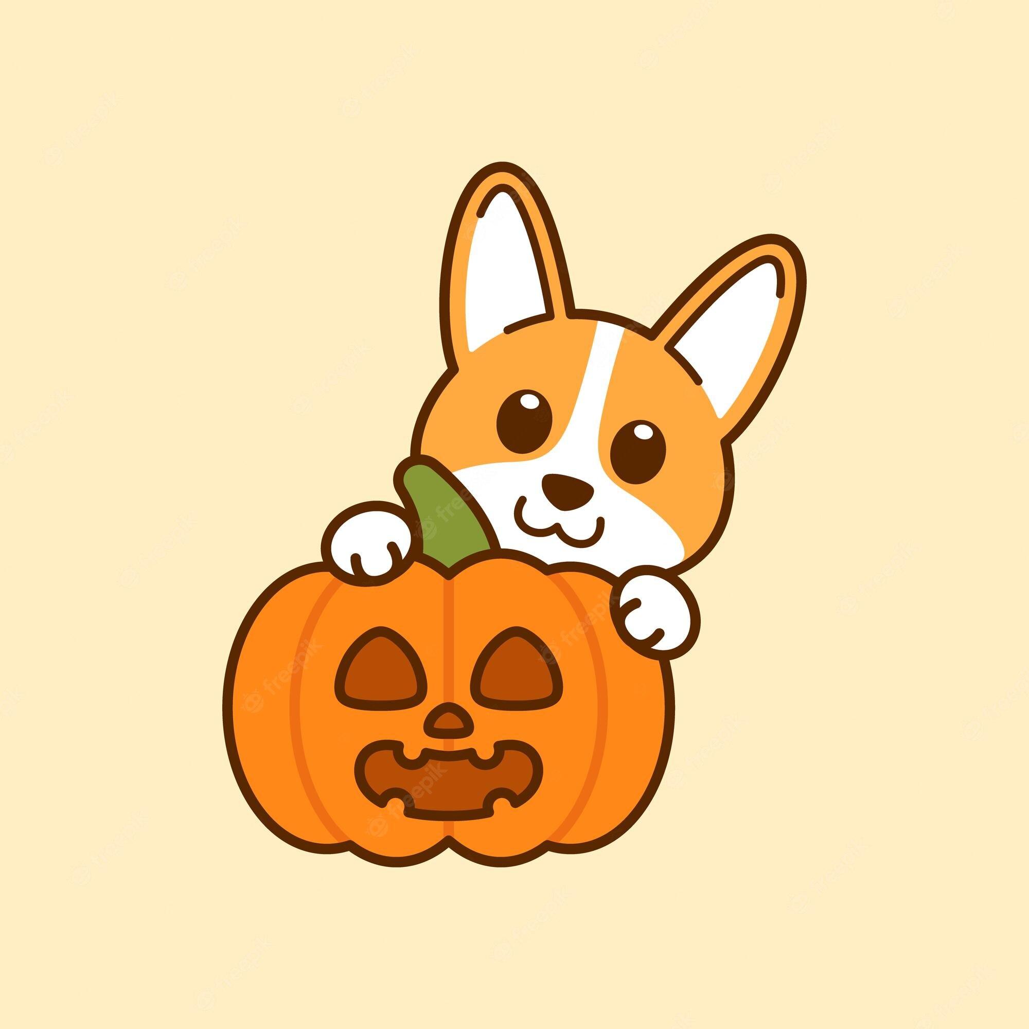 Halloween Corgi Wallpapers - Top Free Halloween Corgi Backgrounds ...