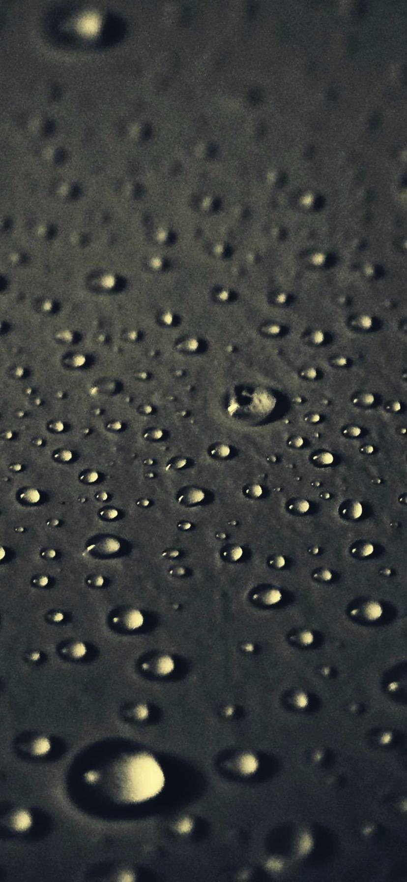 828x1792 iPhone XR wallpaper [Download Free]