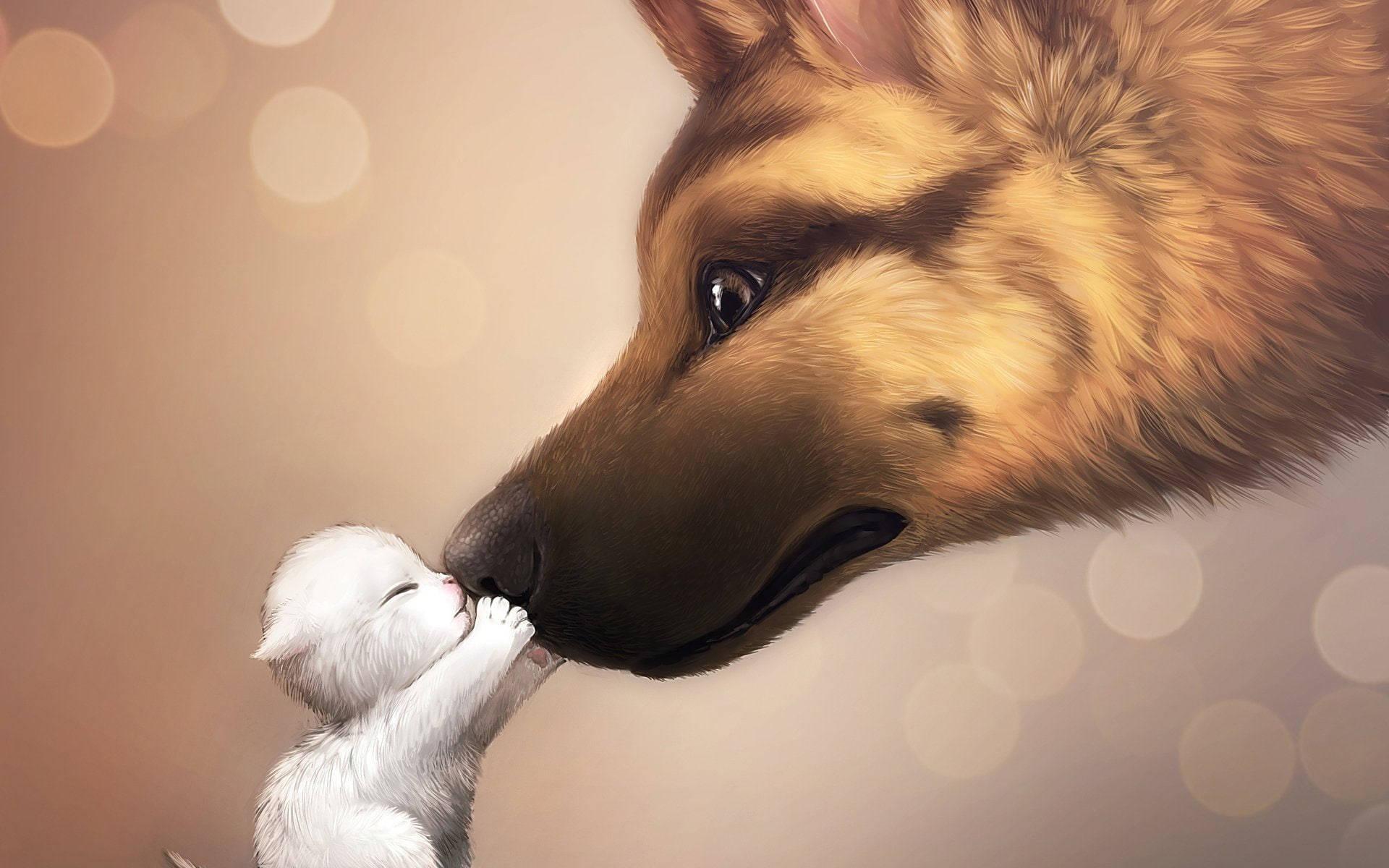 1920x1200 Free Cute Wolf Wallpaper Downloads, Cute Wolf Wallpaper for FREE