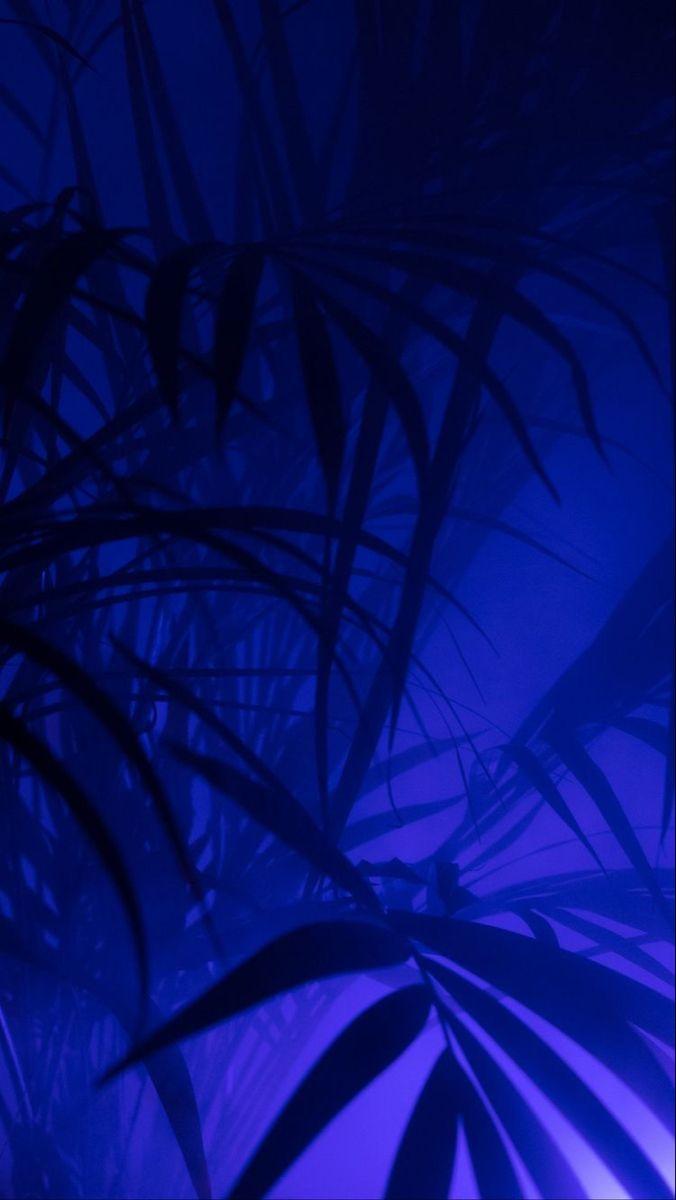 676x1200 Blue photo for wall. Fondos de pantalla de color azul, Fondos de pantalla azules, Fondos de color azul