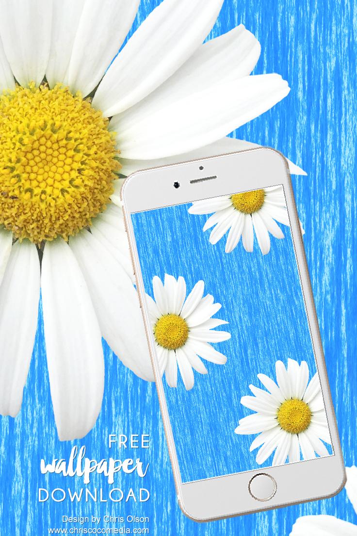 Daisies iPhone Wallpapers Top Free Daisies iPhone Backgrounds