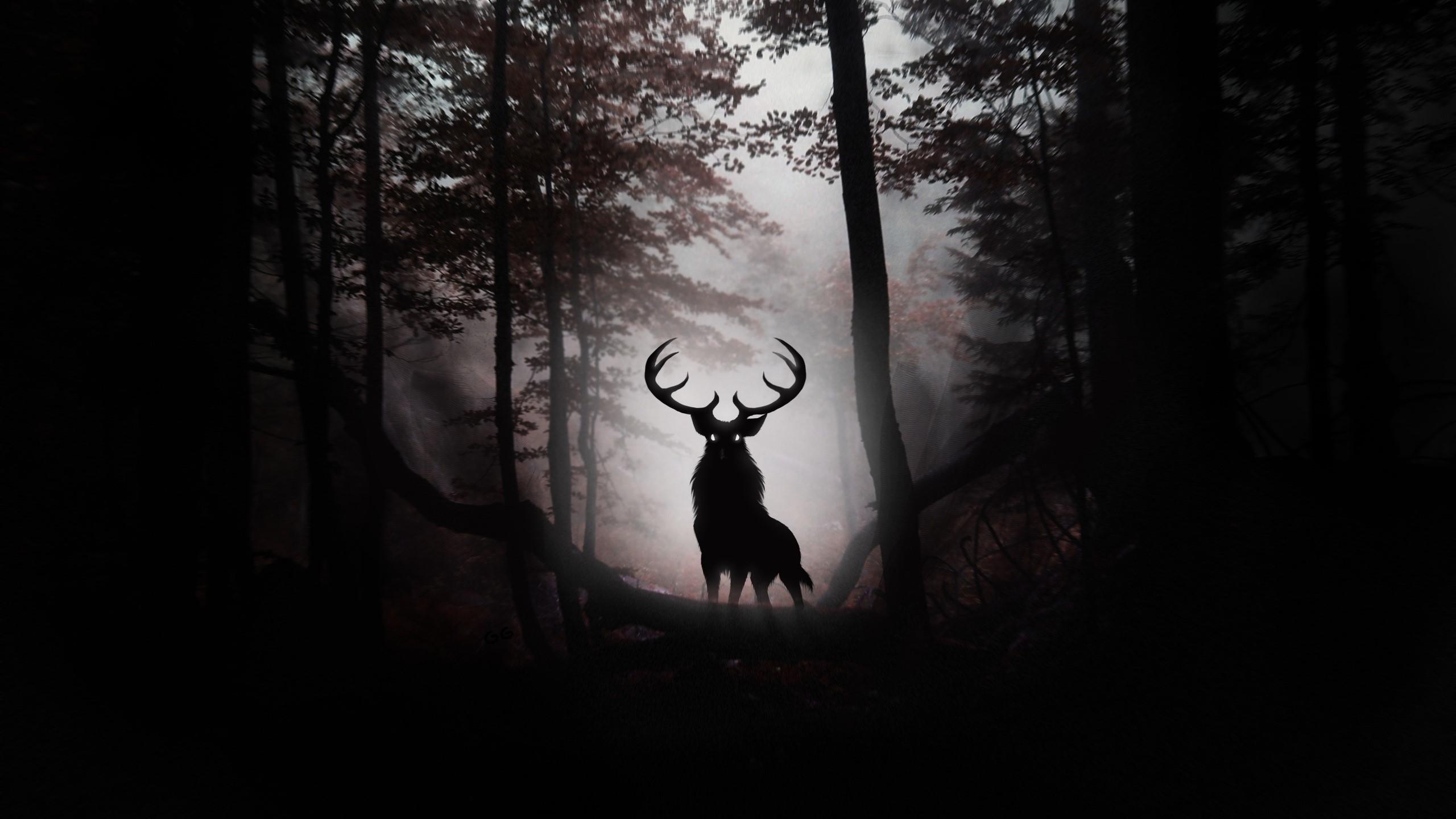 2560x1440 Deer, Horns, Silhouette Gallery HD Wallpaper