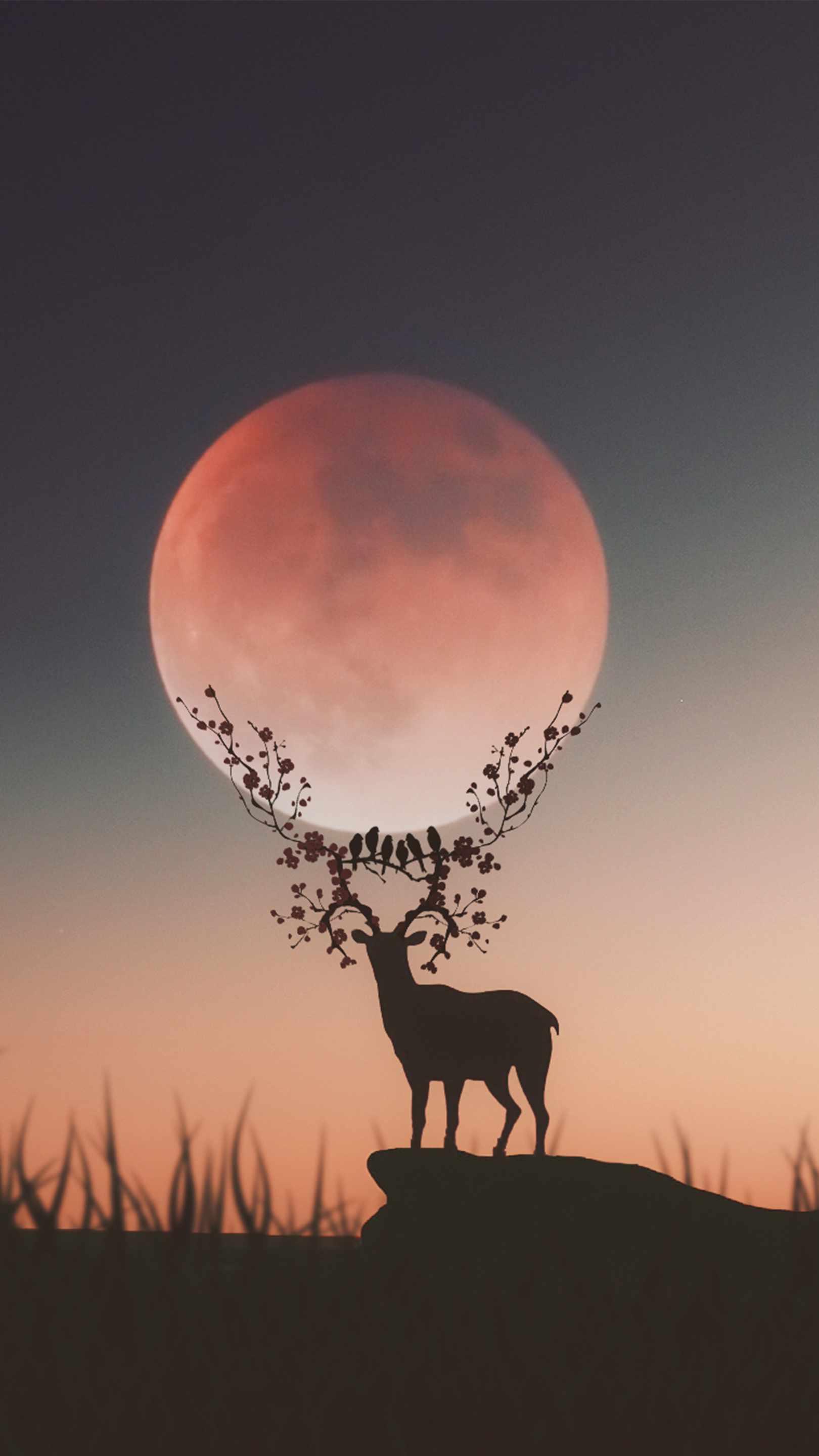 1620x2880 Deer Silhouette Moon IPhone Wallpaper Wallpaper : iPhone Wallpaper