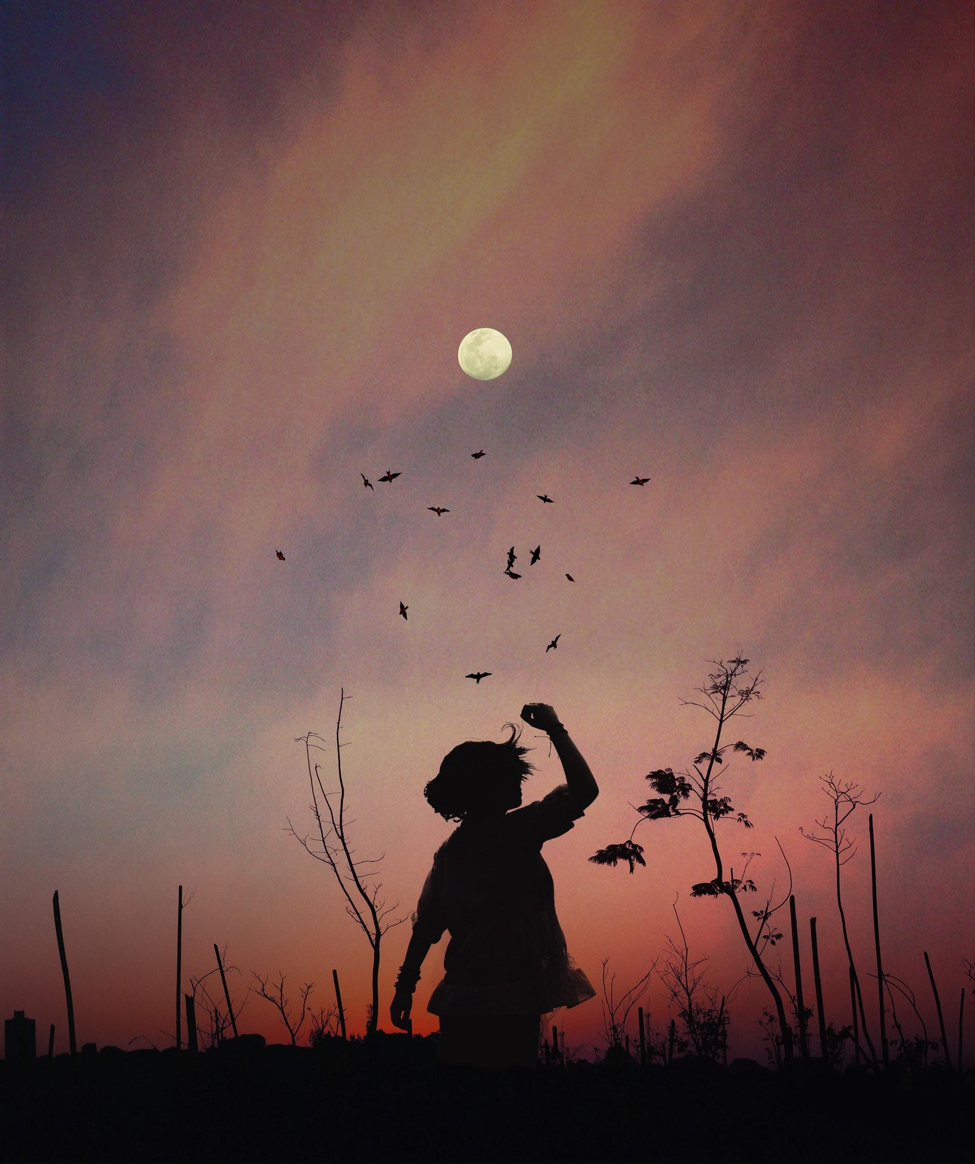 2000x2388 Download Silhouette wallpaper for mobile phone, free Silhouette HD picture