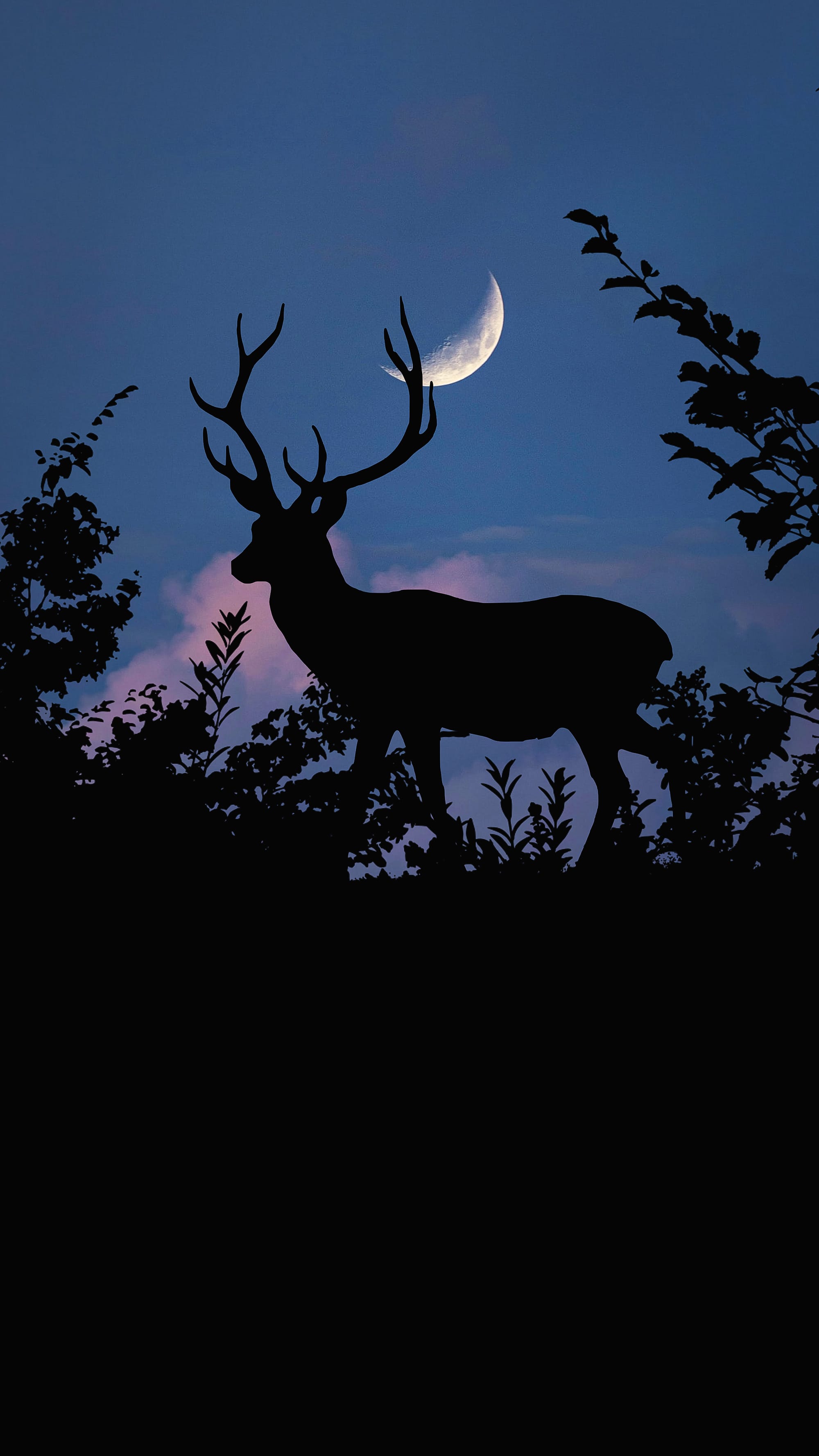 2000x3555 Silhouette Deer Mobile HD Wallpaper