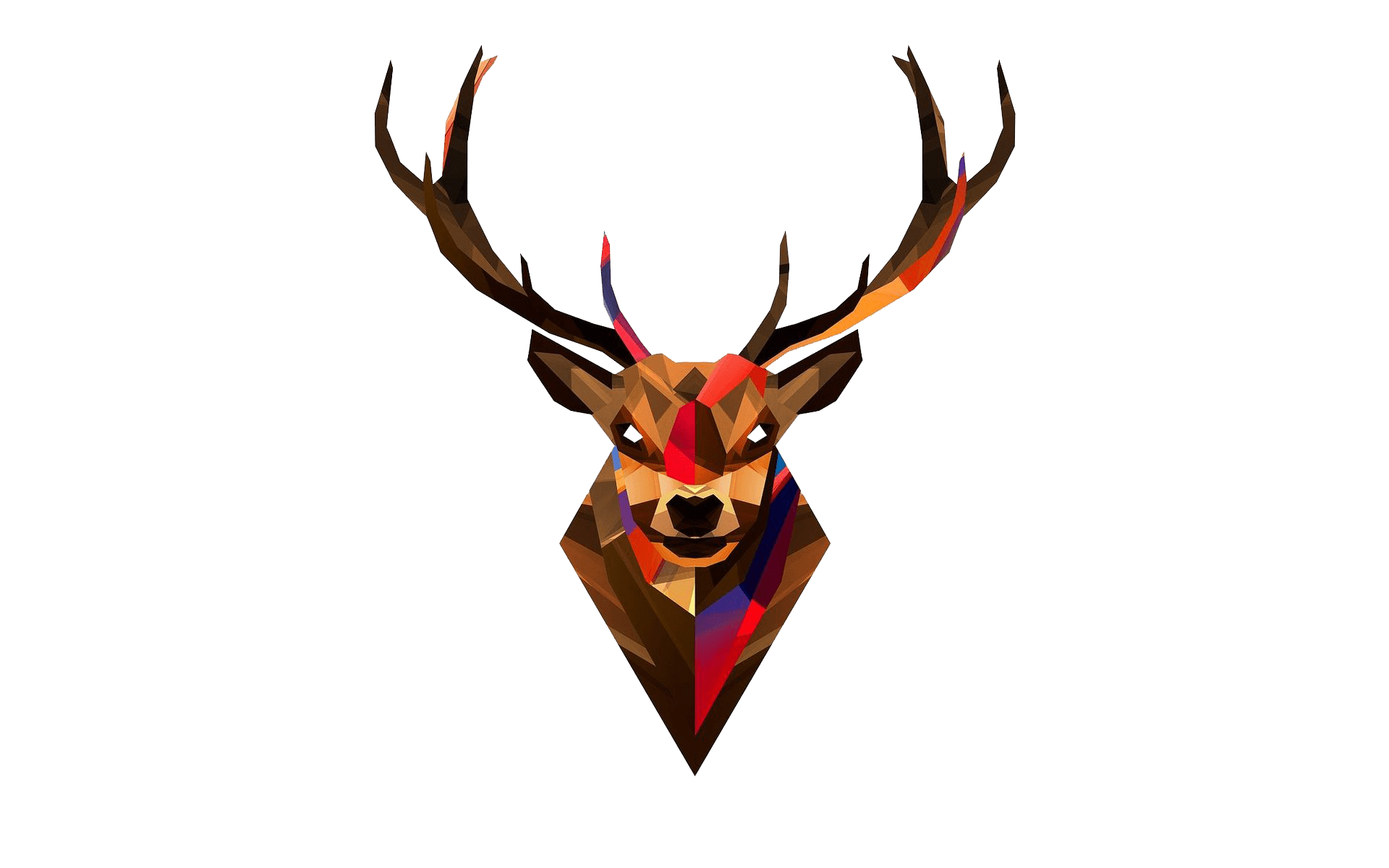 1920x1200 Red deer Head Antler Wallpaper Head Transparent Background png download*1200 Transparent Deer png Download