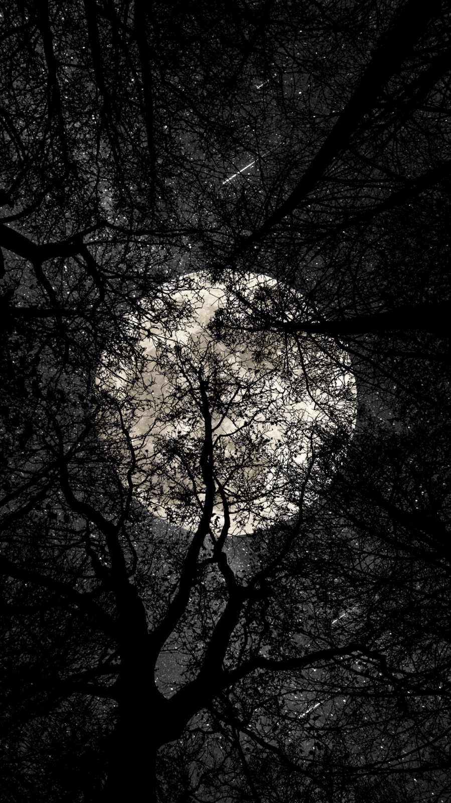 Full Moon Forest Wallpapers - Top Free Full Moon Forest Backgrounds ...