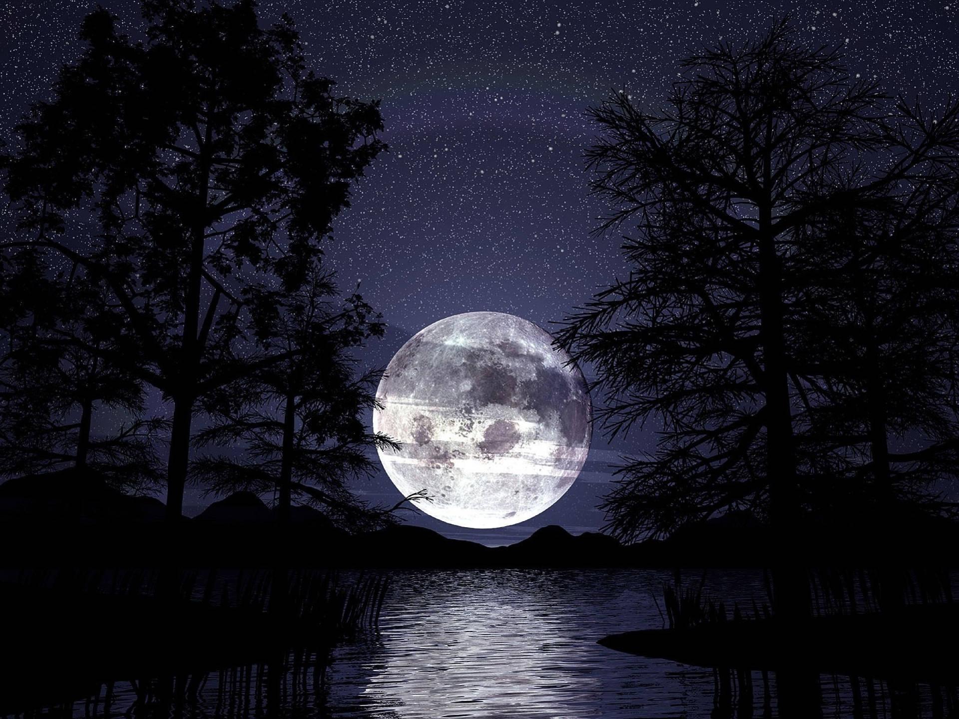 Full Moon Forest Wallpapers - Top Free Full Moon Forest Backgrounds ...