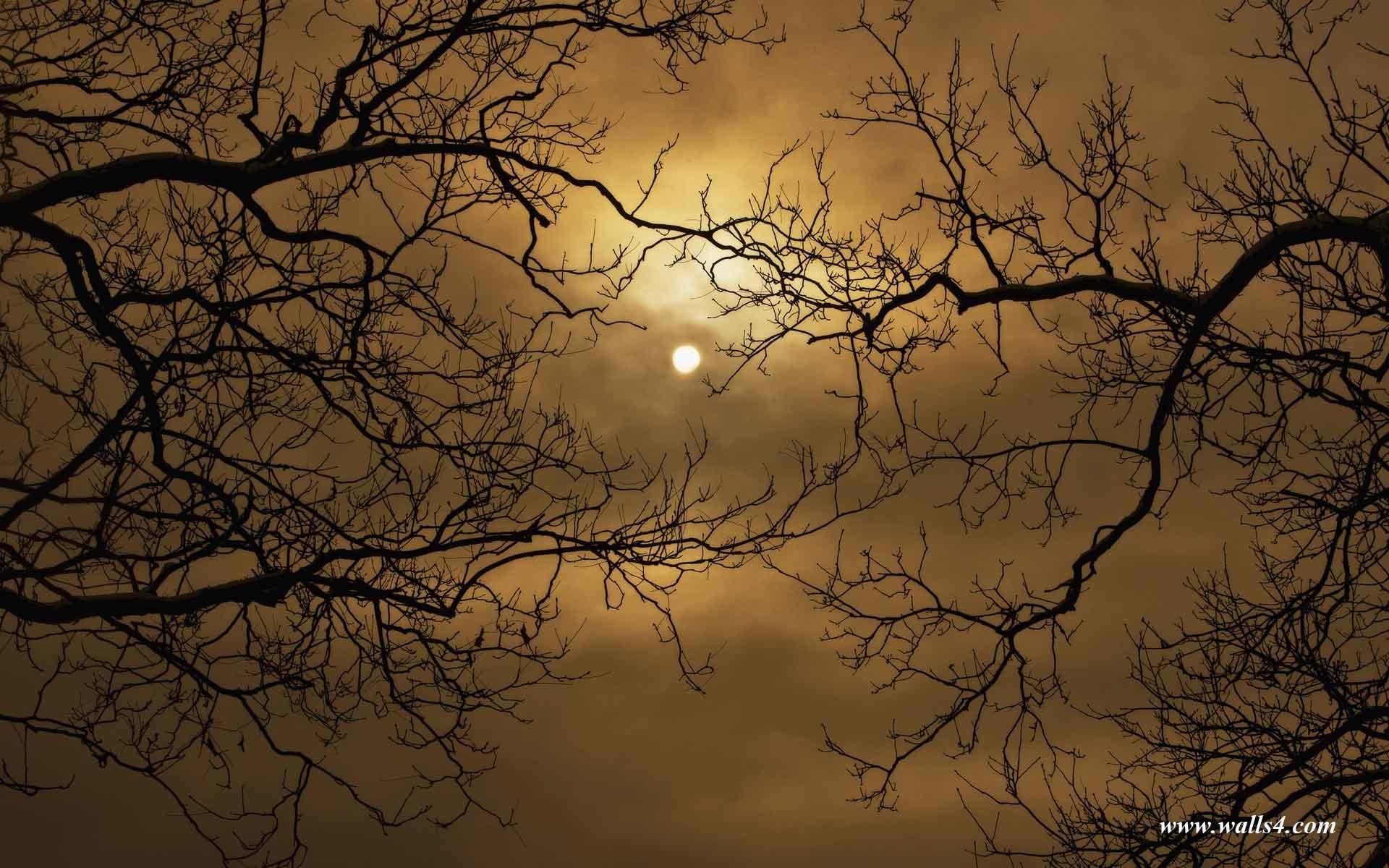 1920x1200 Scary Halloween Desktop Wallpaper –. Scary Halloween Desktop Wallpaper