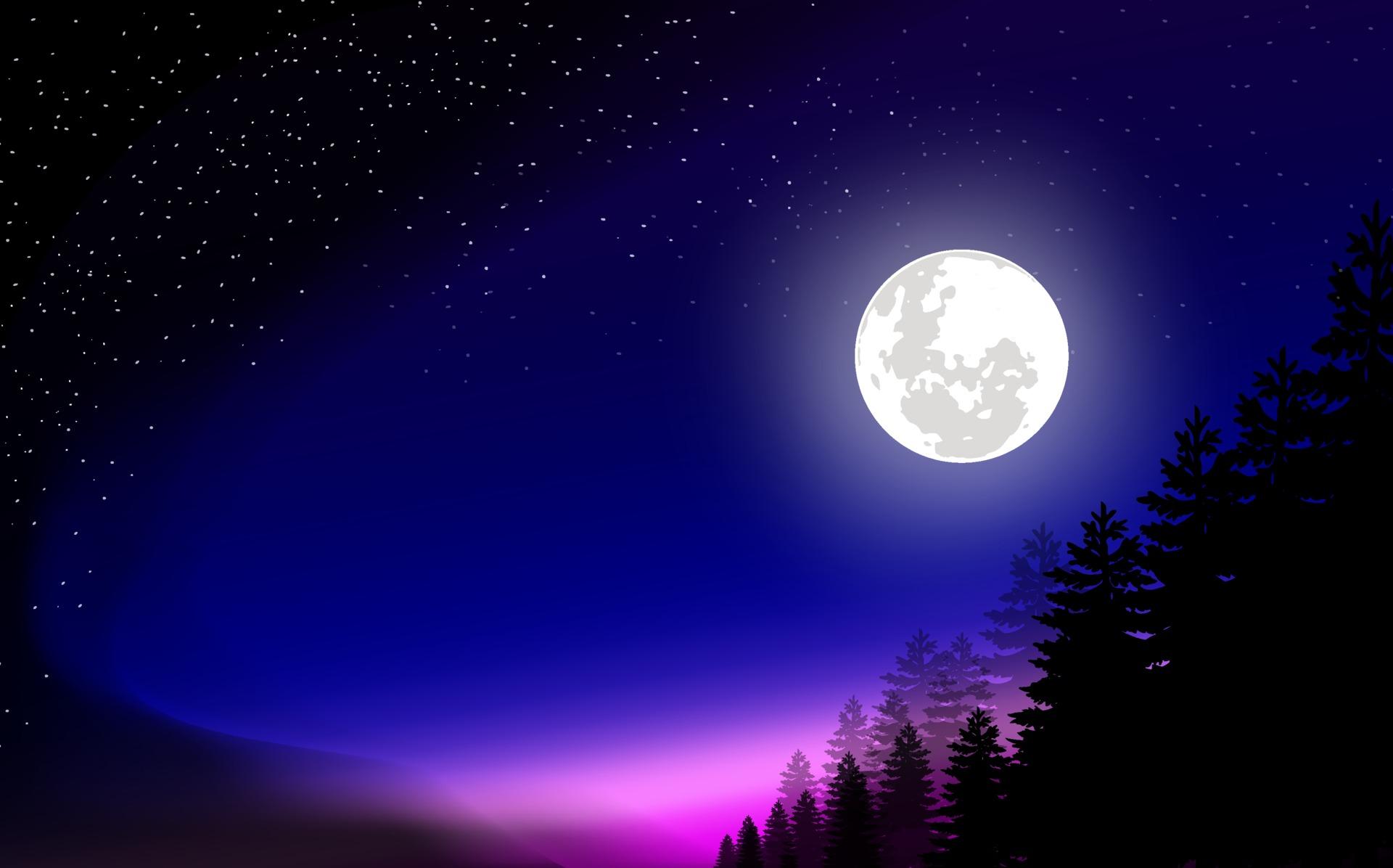 Full moon forest wallpapers top free full moon forest backgrounds
