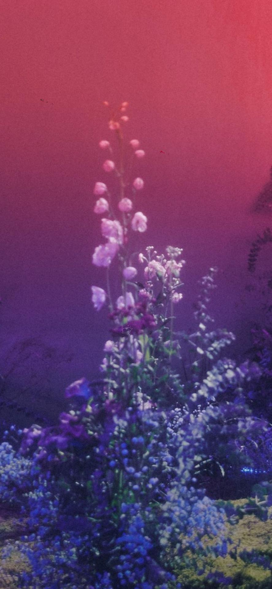 887x1920 Soulmatesz