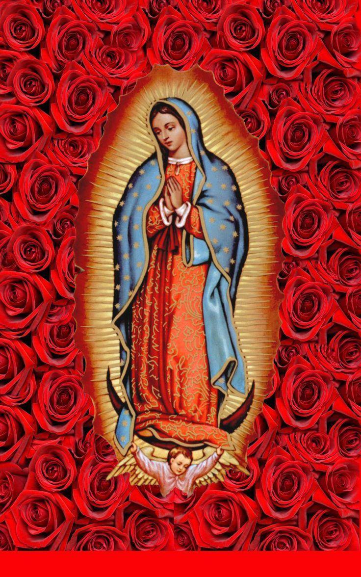 736x1176 Our Lady Of Guadalupe Wallpaper