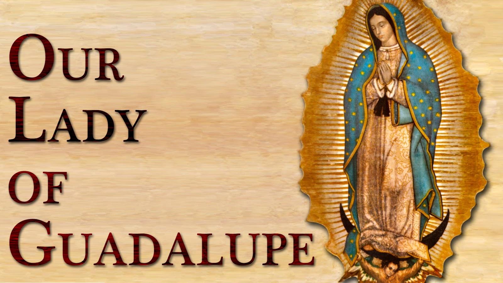 1600x900 Flower Talk: The Flowers of Our Lady of Guadalupe