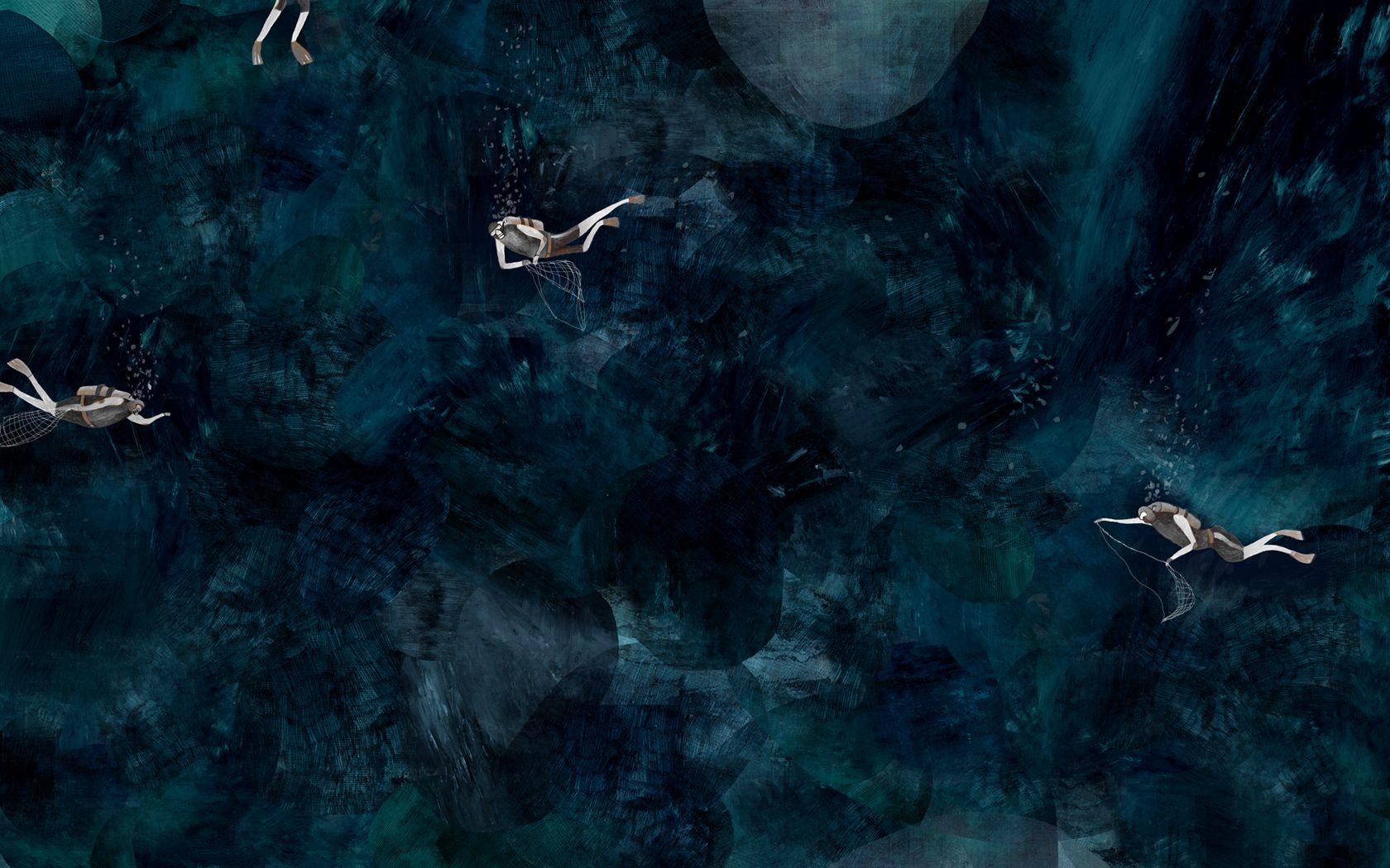 1680x1050 The Desktop Wallpaper Project. The Fox Is Black