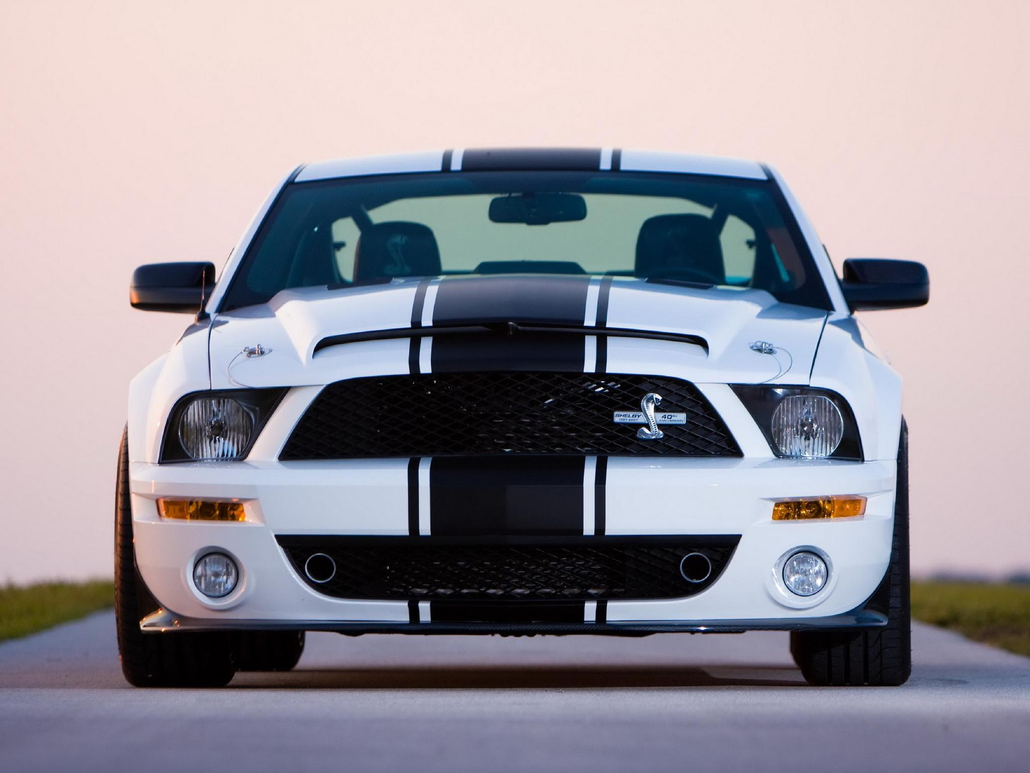 Shelby Super Snake Wallpapers - Top Free Shelby Super Snake Backgrounds ...